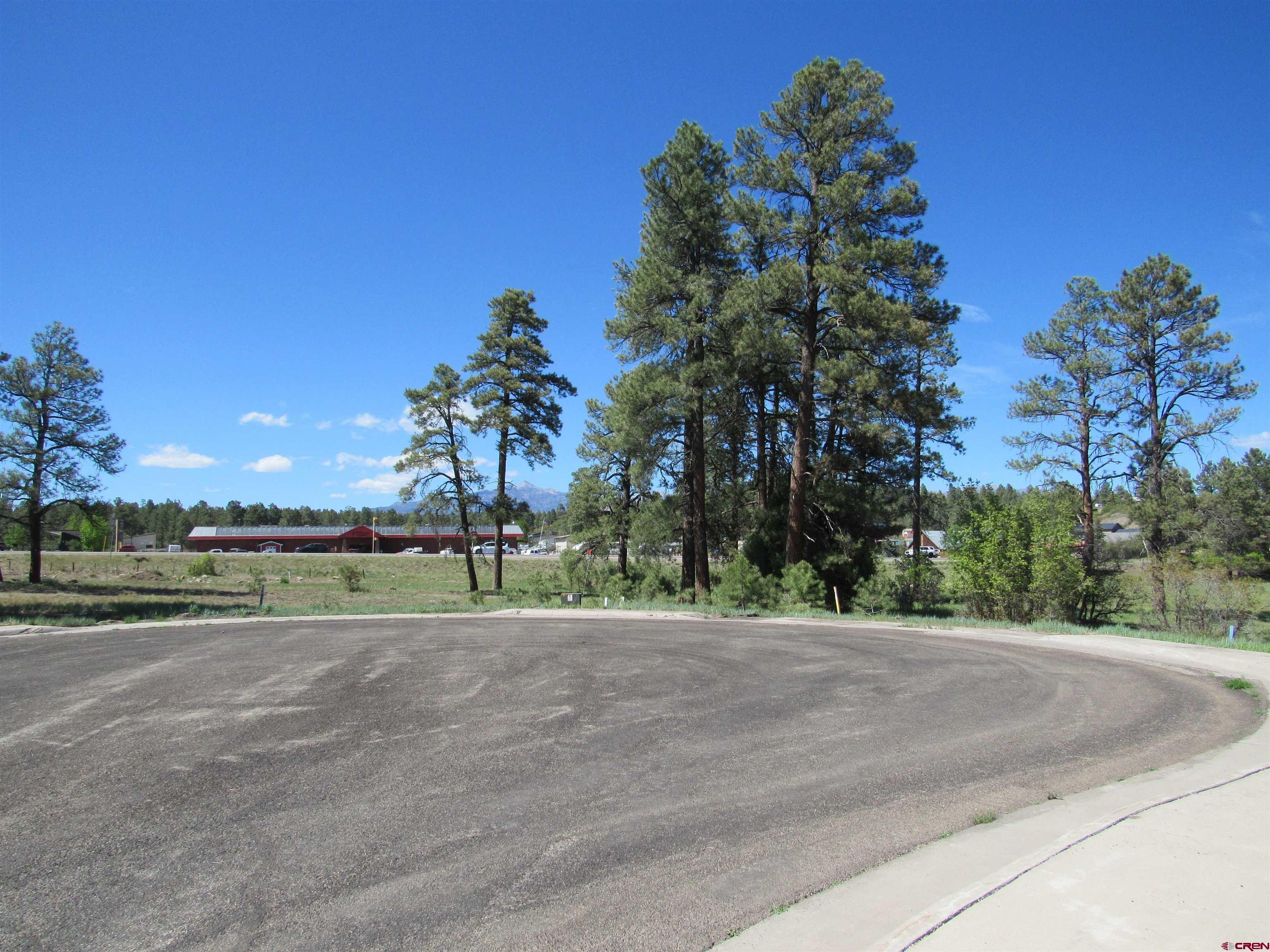 X Papoose Court, Pagosa Springs, CO 81147 Listing Photo  2