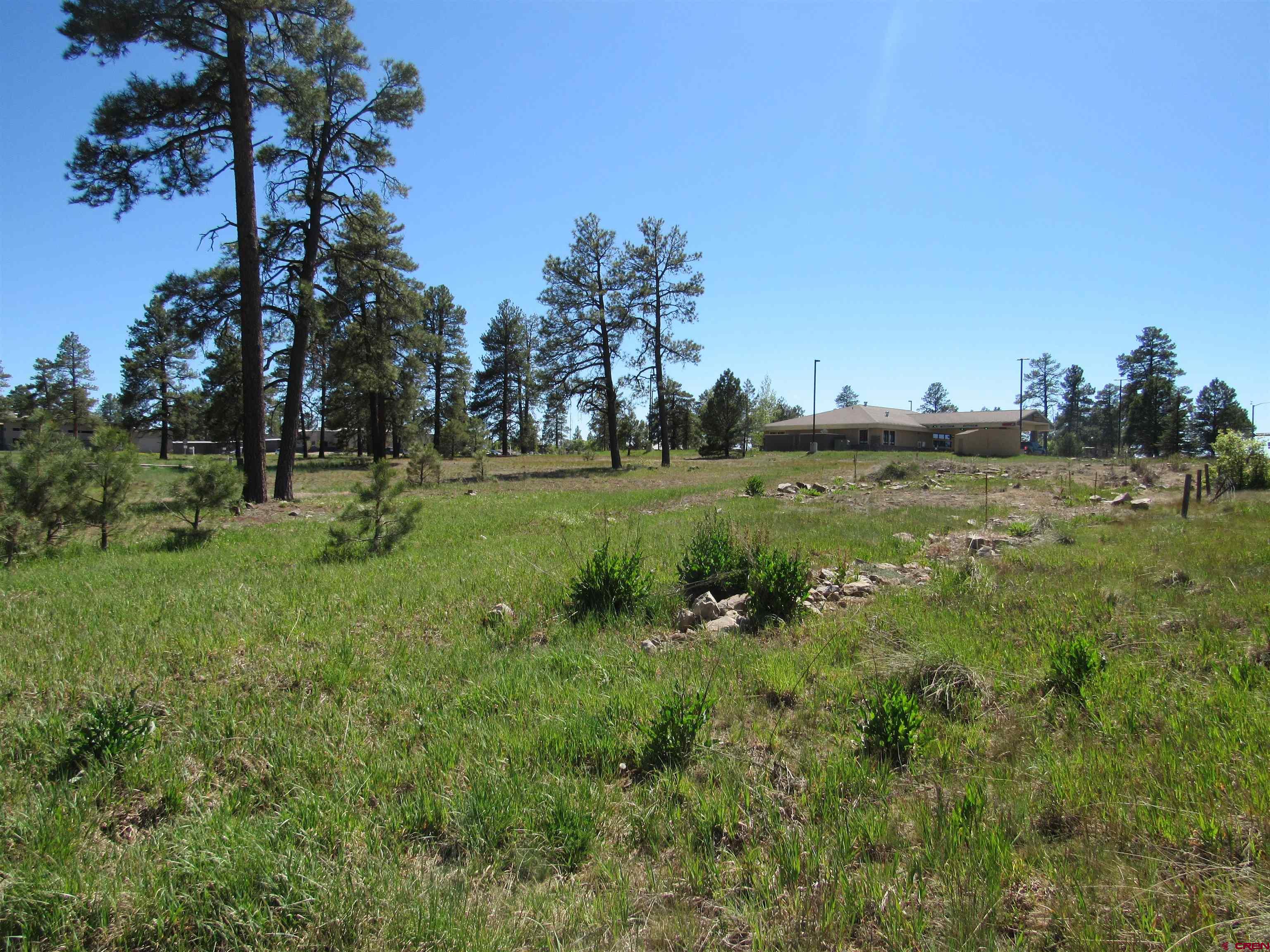 X Papoose Court, Pagosa Springs, CO 81147 Listing Photo  16