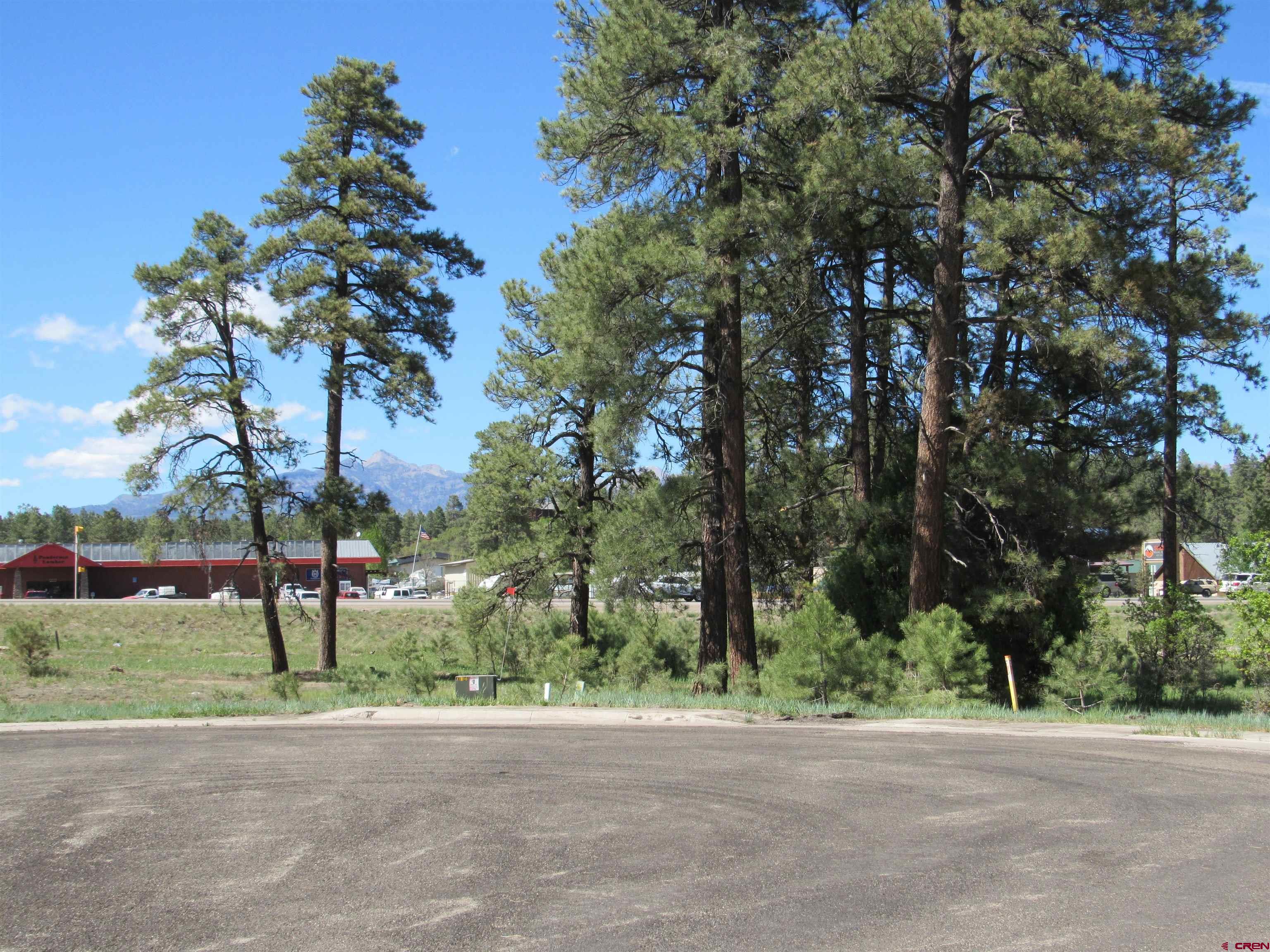 X Papoose Court, Pagosa Springs, CO 81147 Listing Photo  3