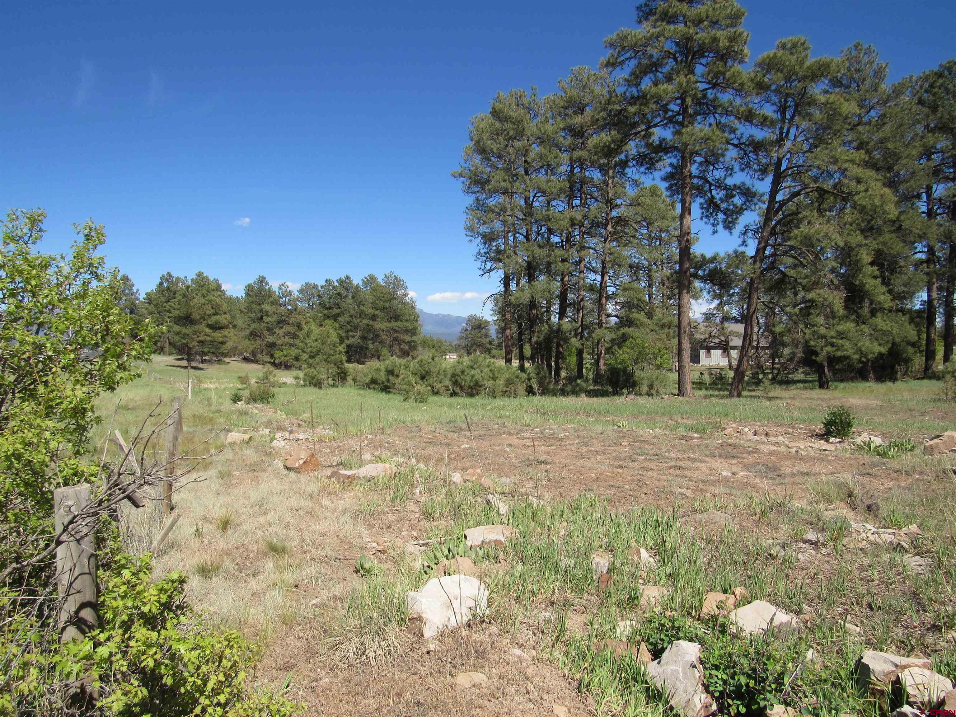 X Papoose Court, Pagosa Springs, CO 81147 Listing Photo  22