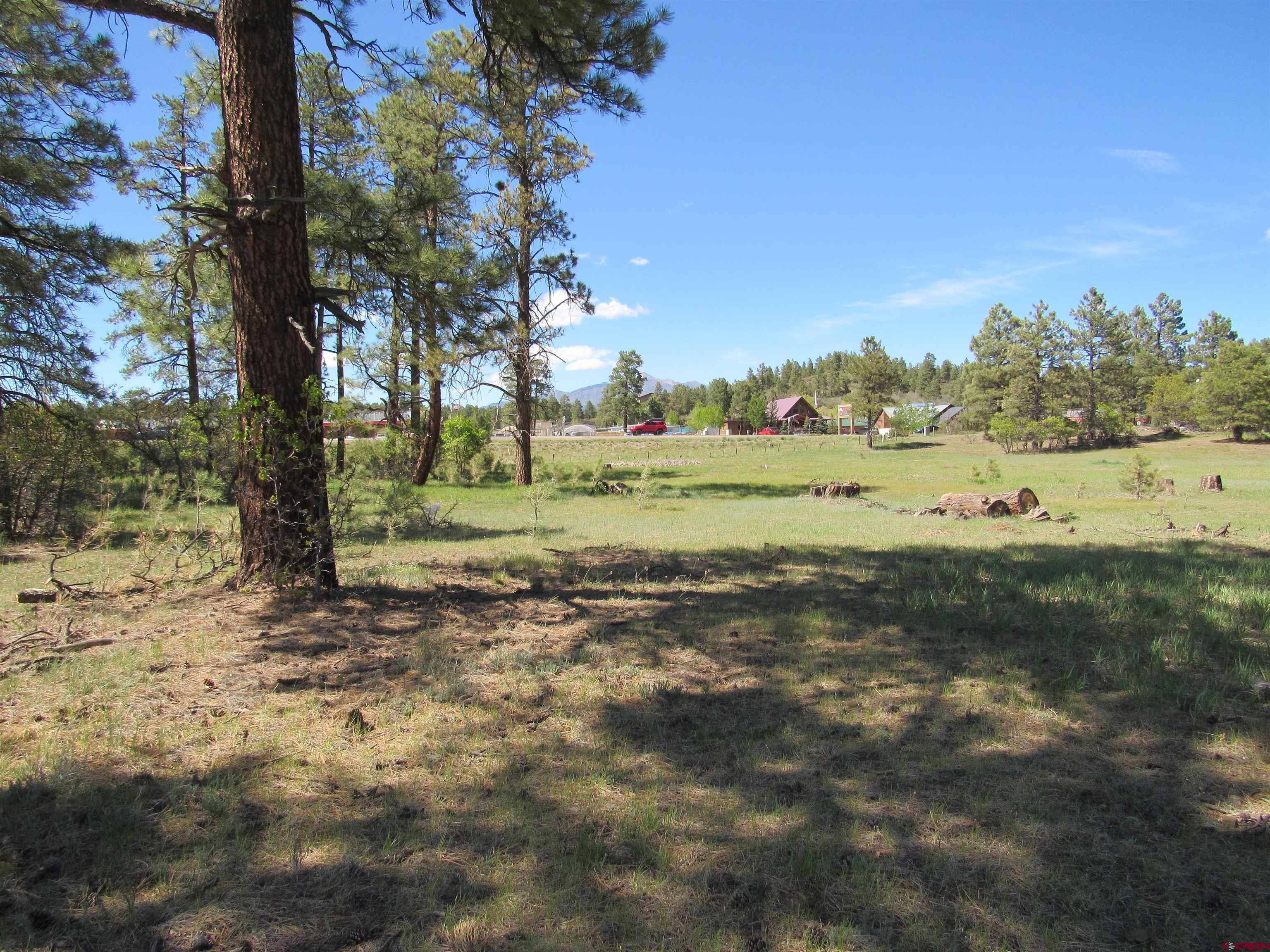 X Papoose Court, Pagosa Springs, CO 81147 Listing Photo  5