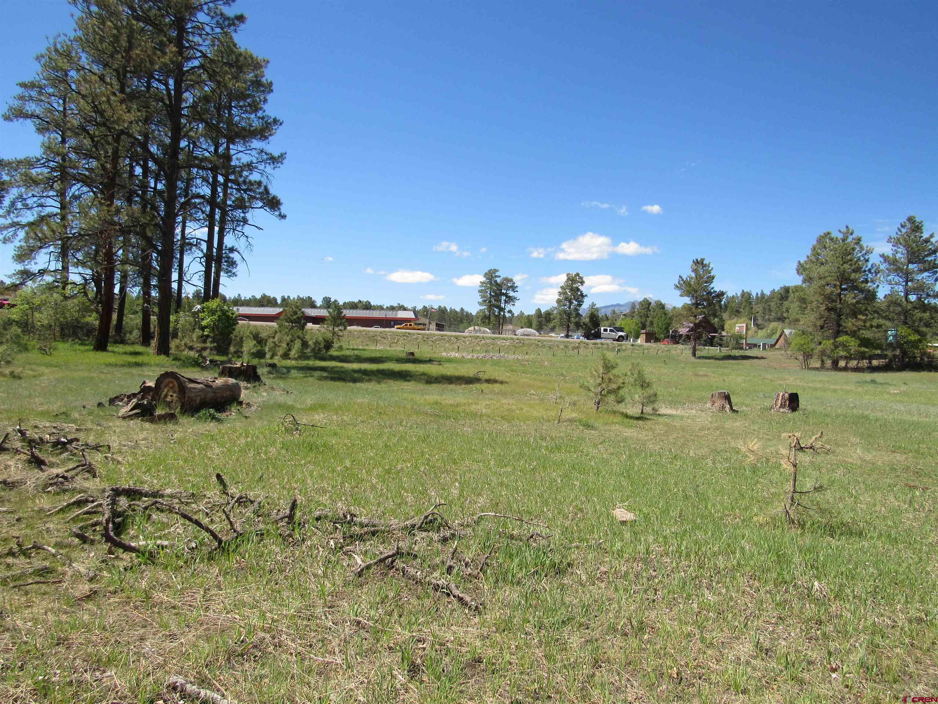 X Papoose Court, Pagosa Springs, CO 81147 Listing Photo  6