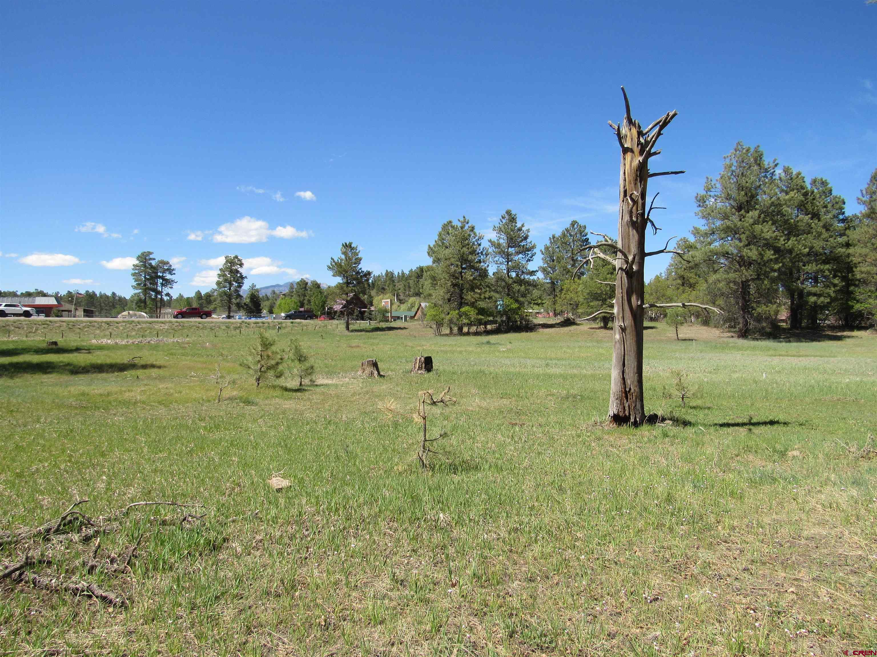 X Papoose Court, Pagosa Springs, CO 81147 Listing Photo  7