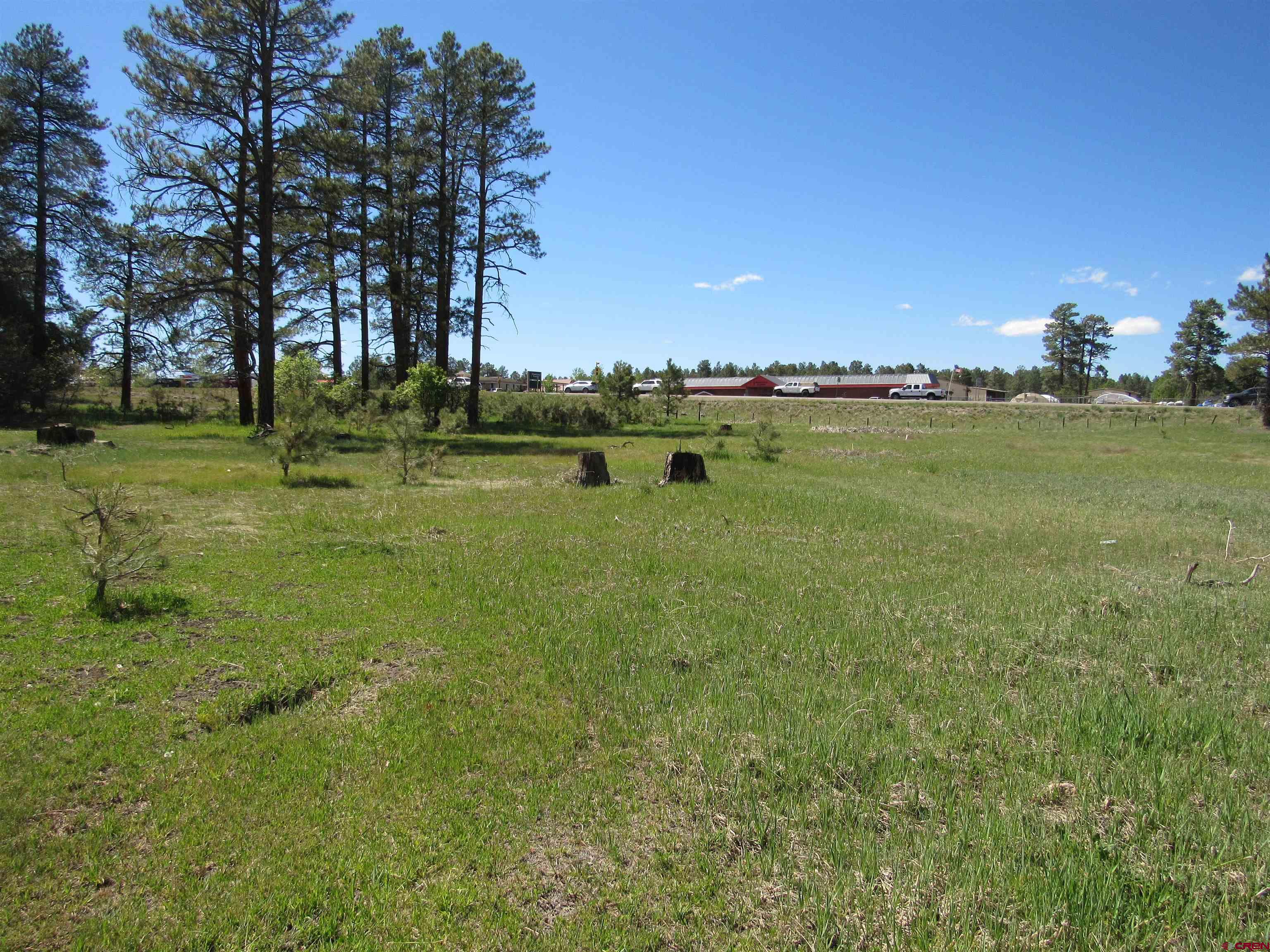 X Papoose Court, Pagosa Springs, CO 81147 Listing Photo  8