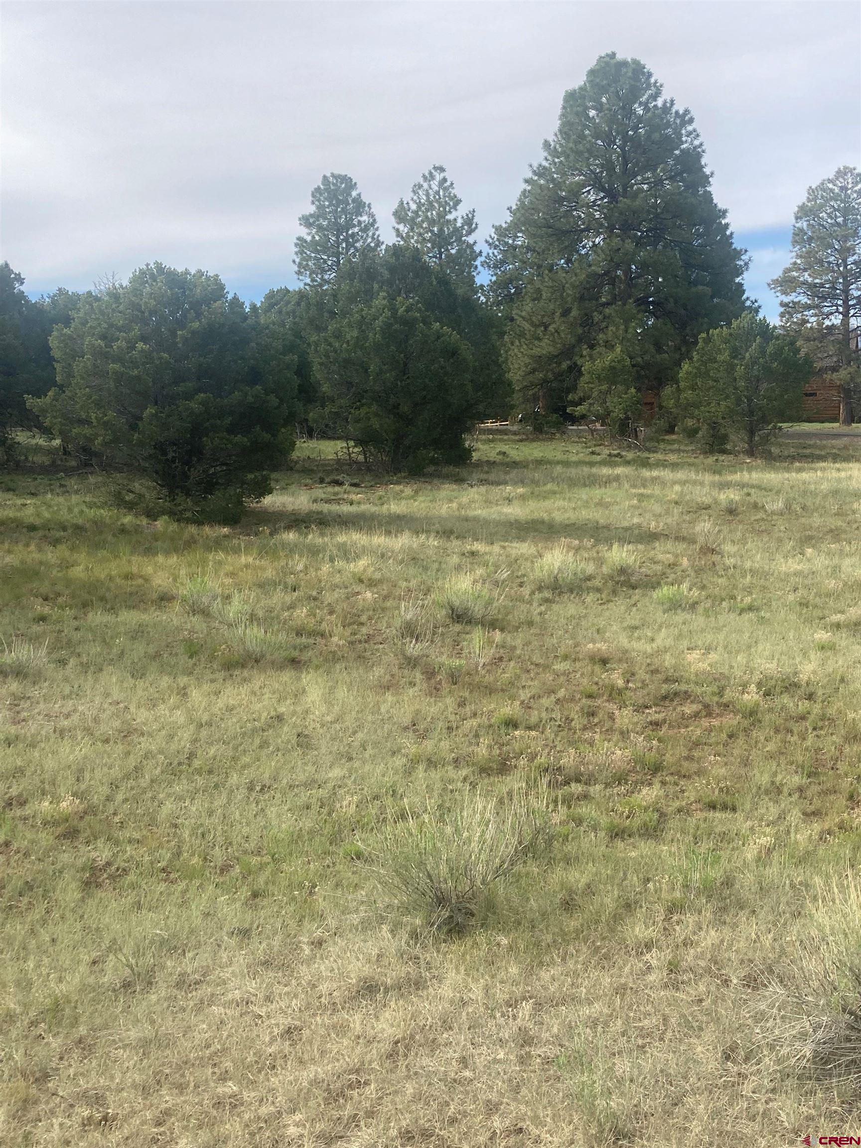 This is a beautiful lot for your dream home.  Perfectly treed with a large open area to build.  Located in the award winning Divide Ranch and Club.  Enjoy the golf club and luxurious community experience.  Less than 4 miles to Ridgway, less than 30 minutes to Montrose, and a short drive to Telluride.
