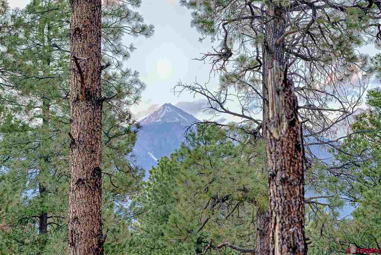 Lot 11 Hidden Valley Drive, Pagosa Springs, CO 81147 Listing Photo  1