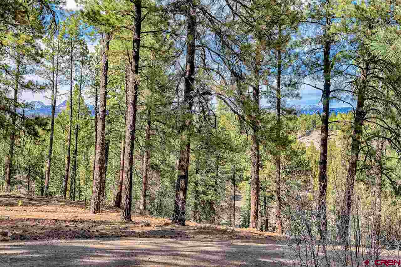 Lot 11 Hidden Valley Drive, Pagosa Springs, CO 81147 Listing Photo  2