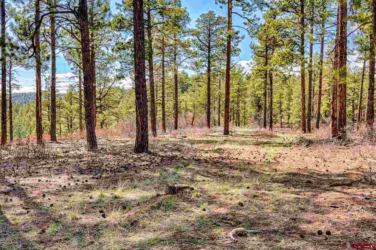Lot 11 Hidden Valley Drive, Pagosa Springs, CO 81147 Listing Photo  4