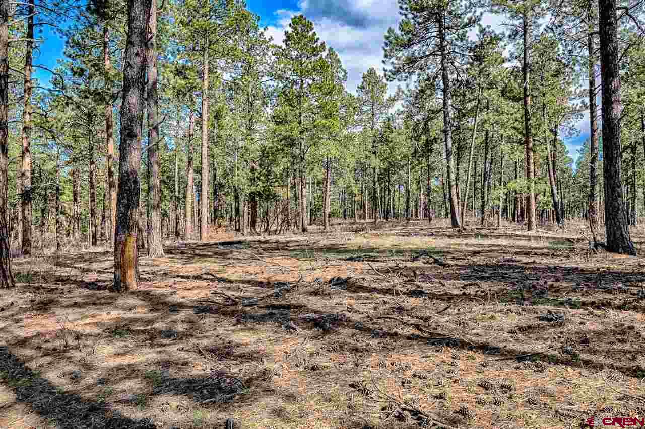 Lot 11 Hidden Valley Drive, Pagosa Springs, CO 81147 Listing Photo  6