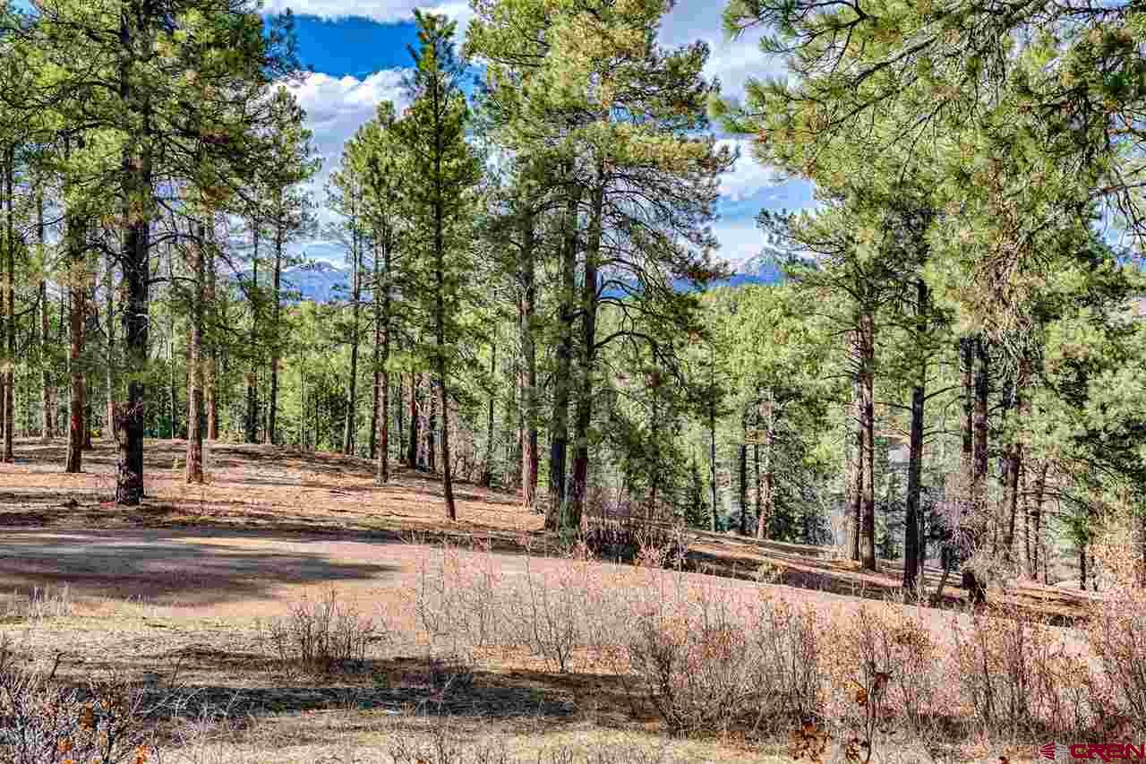 Lot 11 Hidden Valley Drive, Pagosa Springs, CO 81147 Listing Photo  7