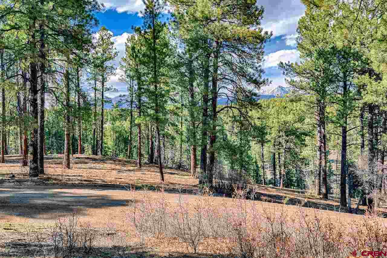 Lot 11 Hidden Valley Drive, Pagosa Springs, CO 81147 Listing Photo  9