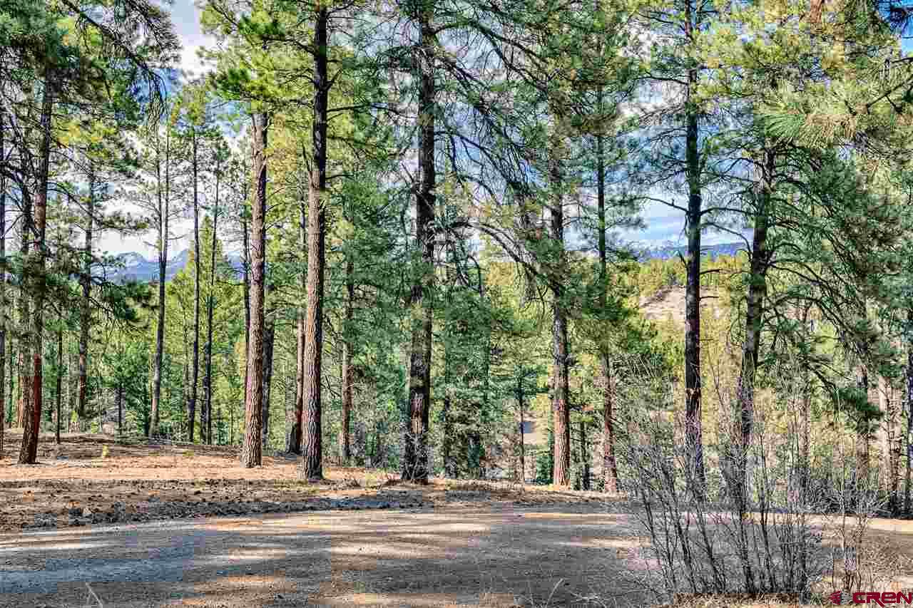Lot 11 Hidden Valley Drive, Pagosa Springs, CO 81147 Listing Photo  10
