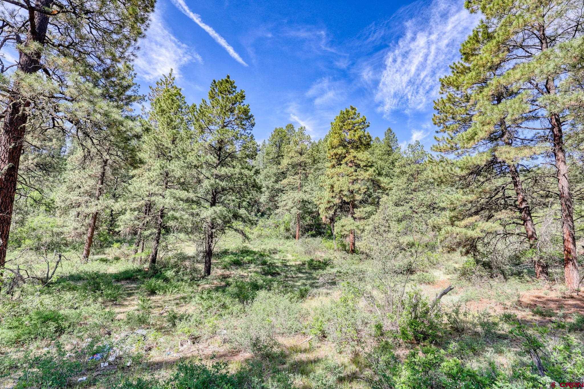 500 Majestic Drive, Pagosa Springs, CO 81147 Listing Photo  7