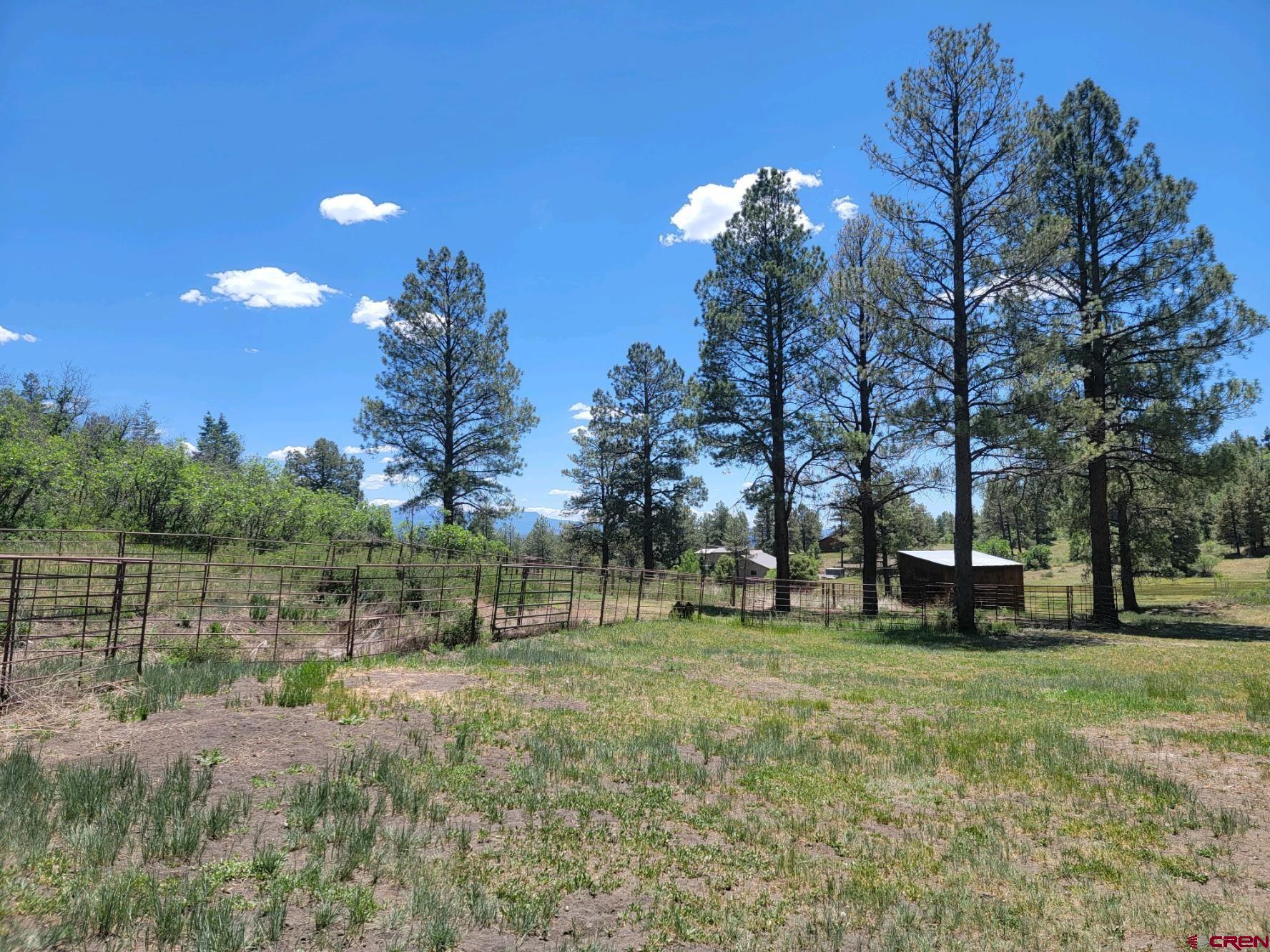 457 Majestic Drive, Pagosa Springs, CO 81147 Listing Photo  33