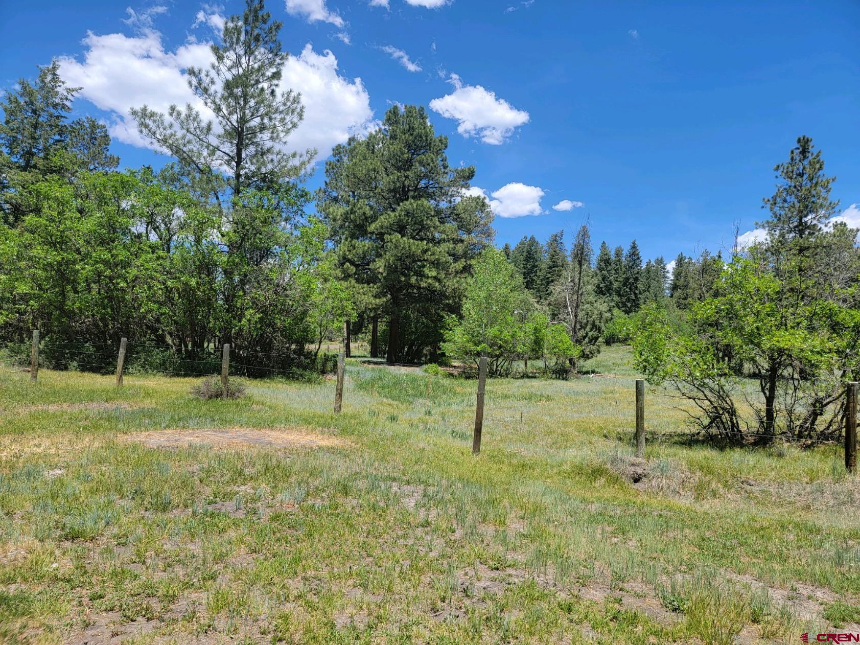 457 Majestic Drive, Pagosa Springs, CO 81147 Listing Photo  35