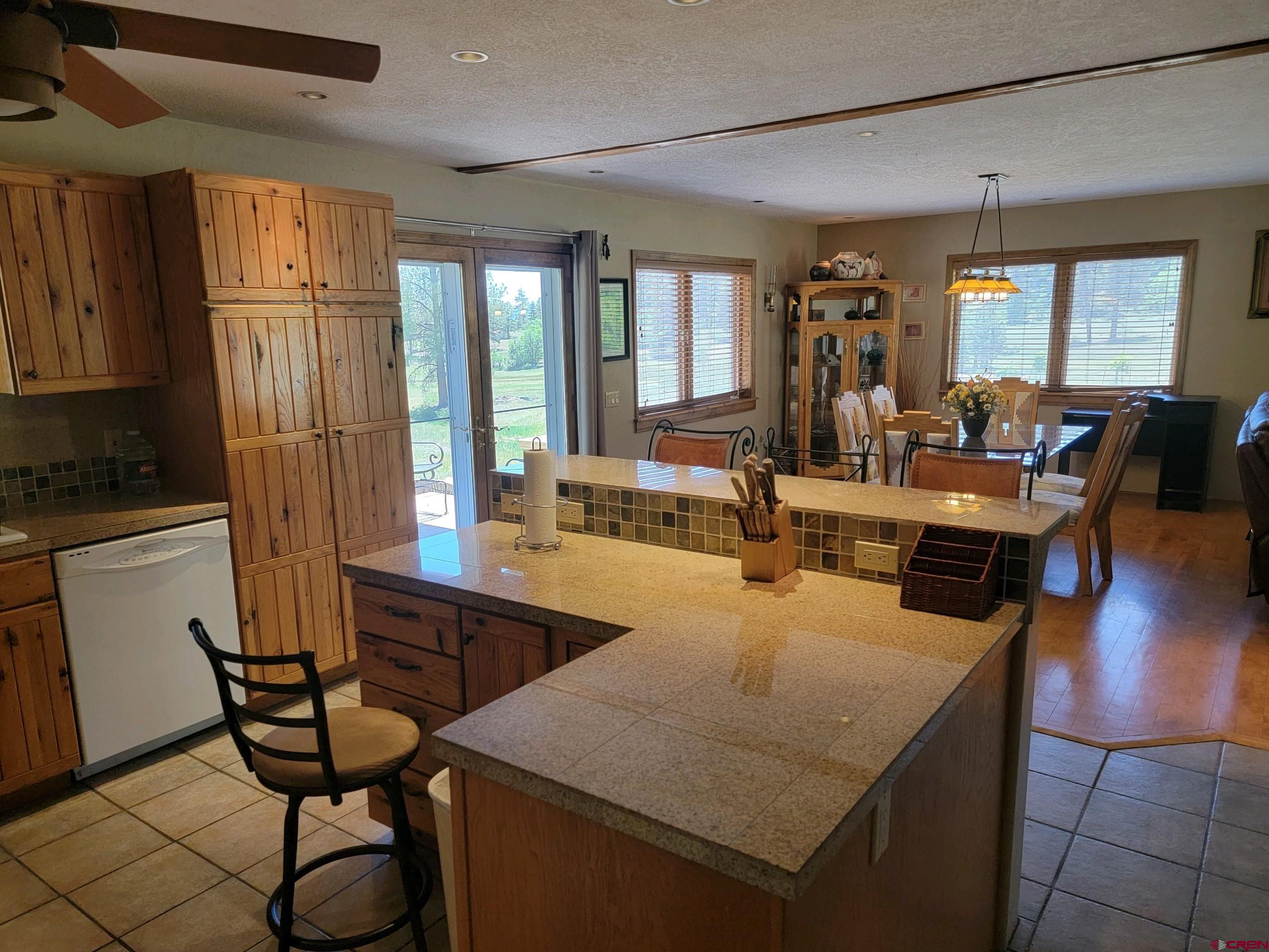 457 Majestic Drive, Pagosa Springs, CO 81147 Listing Photo  8