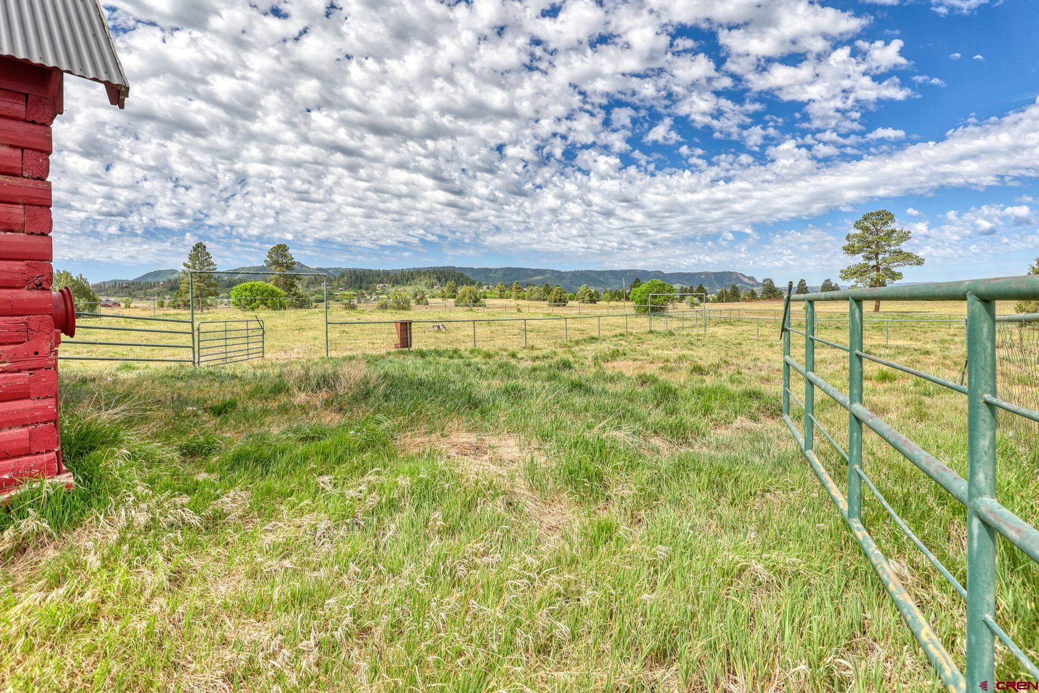 555 Paciente Place, Pagosa Springs, CO 81147 Listing Photo  5