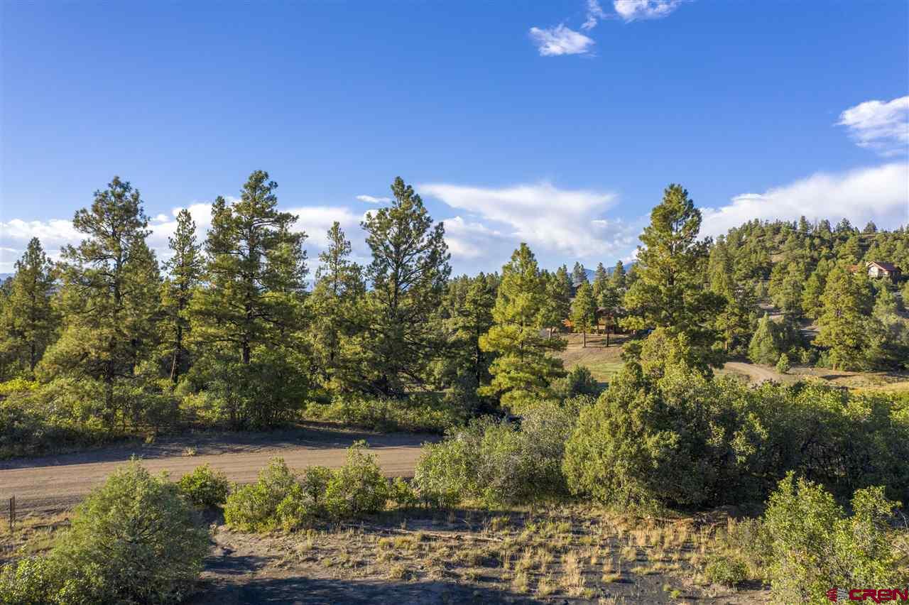 1777 Hersch Avenue, Pagosa Springs, CO 81147 Listing Photo  5