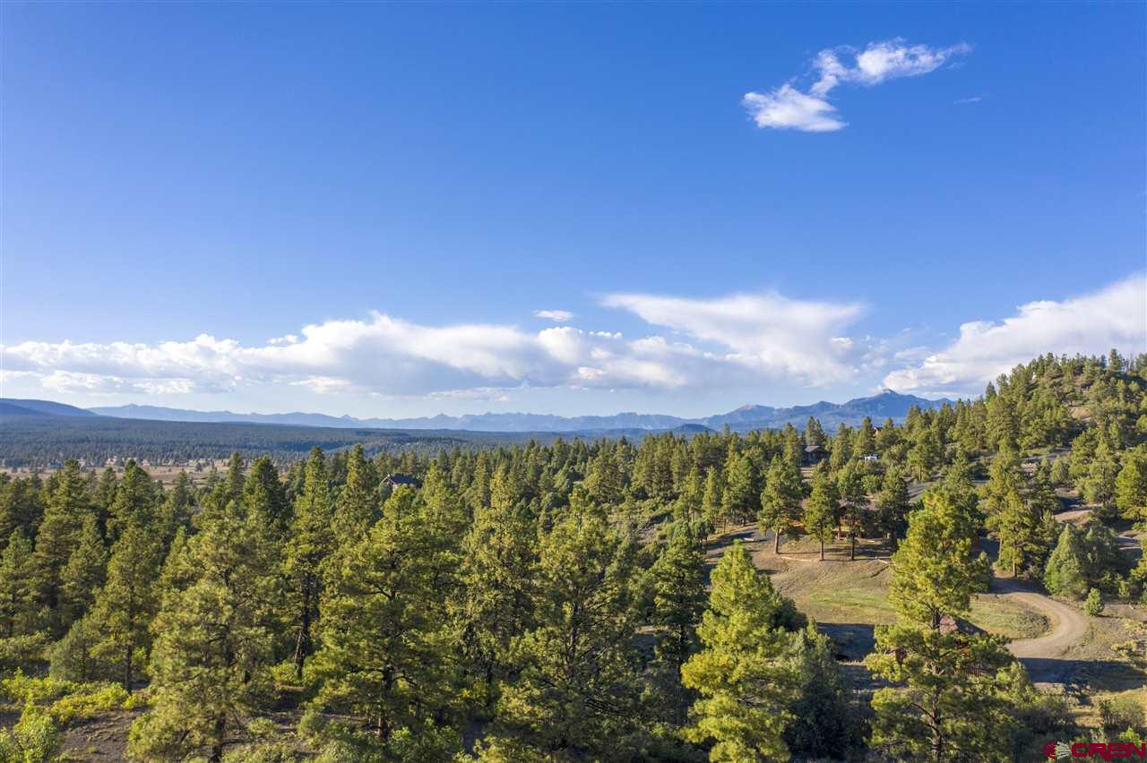 1777 Hersch Avenue, Pagosa Springs, CO 81147 Listing Photo  7