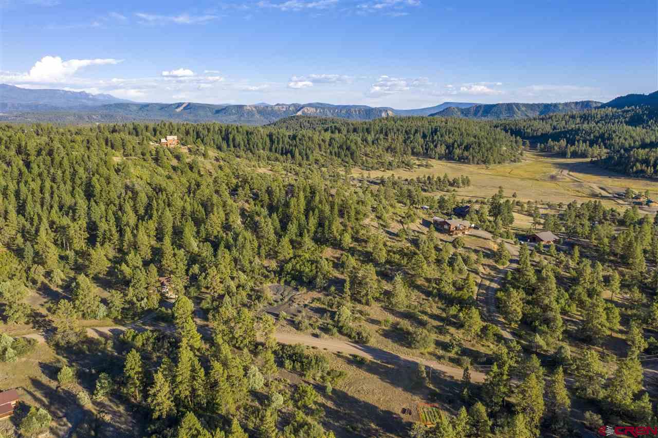 1777 Hersch Avenue, Pagosa Springs, CO 81147 Listing Photo  9