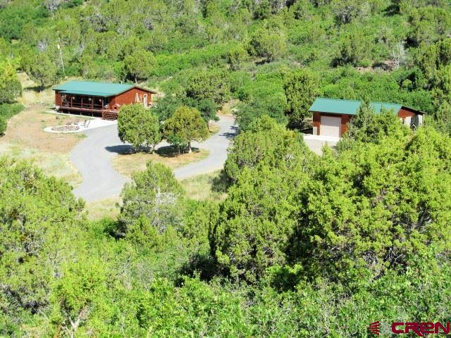 DELUXE OUTDOOR LOVERS RETREAT AND EQUESTRIAN PARADISE!  This immaculate property has it all, Entertainment central for the outdoor enthusiast and Seclusion too!  Enter the property through the custom designed metal gates, enjoy the awesome views and the many outdoor opportunities this property offers.  Wildlife abounds including elk, turkey, deer, and the occasional bear too!  The 3,146 sq.ft. “BARN” includes a 29x39 shop complete with 16x29 mezzanine set-up for the best of entertaining.  Plenty of room to park your many toys, or work on equipment with the overhead winch, 10 ft. door, 12x16 deck, cozy with pellet stove.  PLUS there is a tremendous set-up for horses with double track doors, riding arena, round pen, hay barn (400 bale storage), drive-through equipment shed,  three 12x32 individual paddocks with 12x12 stalls all wired for water tank heaters.  Trails on the property allow you to ride your horse, ATV, or hike.  The log sided home is in exceptional condition and has a detached 2-car 36x26 garage/shop garden area.  Open floor plan and opportunities for outdoor entertaining with the 8x30 covered porch, 12x36 deck, 8.5 x 65 partially covered patio and 17x22 patio with a large fire pit!   You are minutes away from Grand Mesa, national forests and BLM lands for taking advantage of endless Western Colorado outdoor  recreational activities for all seasons!  Montrose Regional Airport and Grand Junction Regional Airport are conveniently located approximately an hour away.  Powderhorn Mountain Resort and ski area, Colorado National Monument and Black Canyon National Park are nearby too!  Centrally located to endless activities without the big city hassles.  Western Colorado is friendly and welcoming – come take part in the Colorado lifestyle!