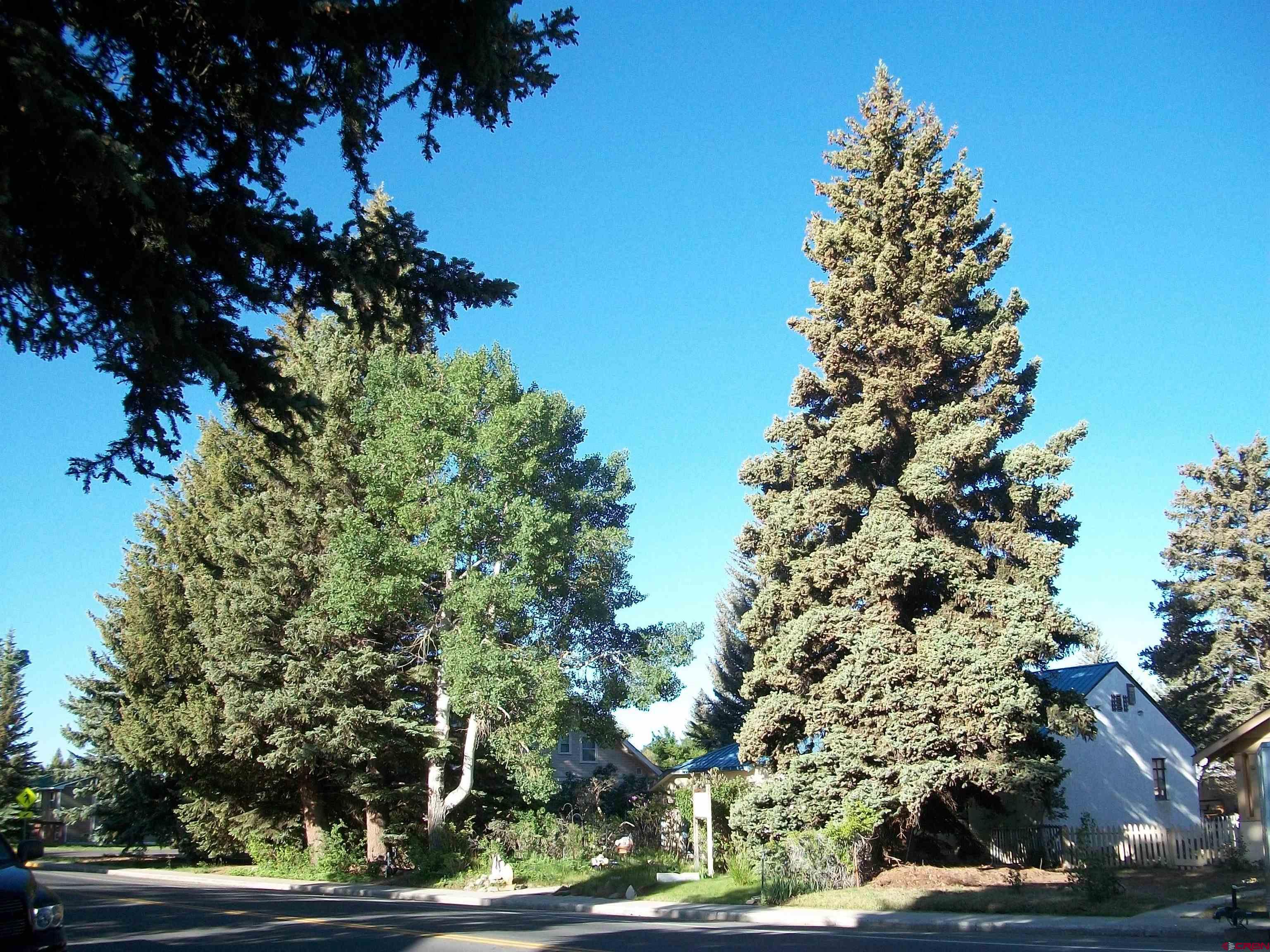 509 N Colorado