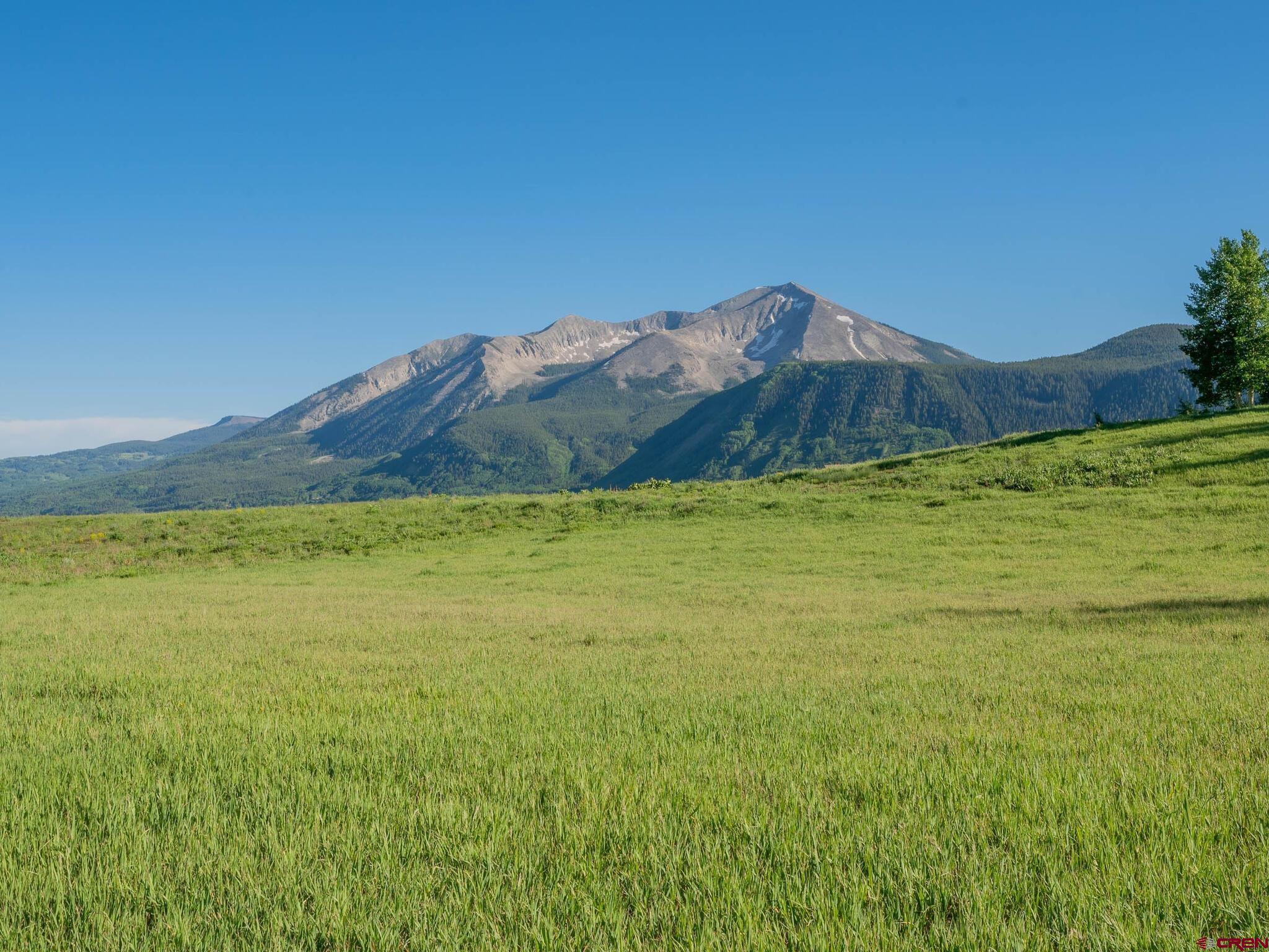 TBD County Road 317, Crested Butte, CO 81224 Listing Photo  13