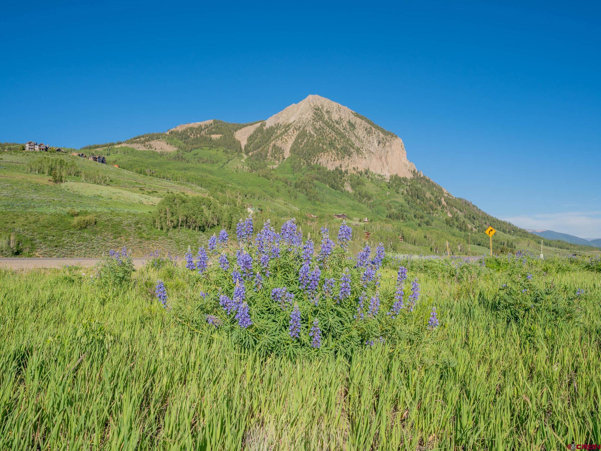 TBD County Road 317, Crested Butte, CO 81224 Listing Photo  14