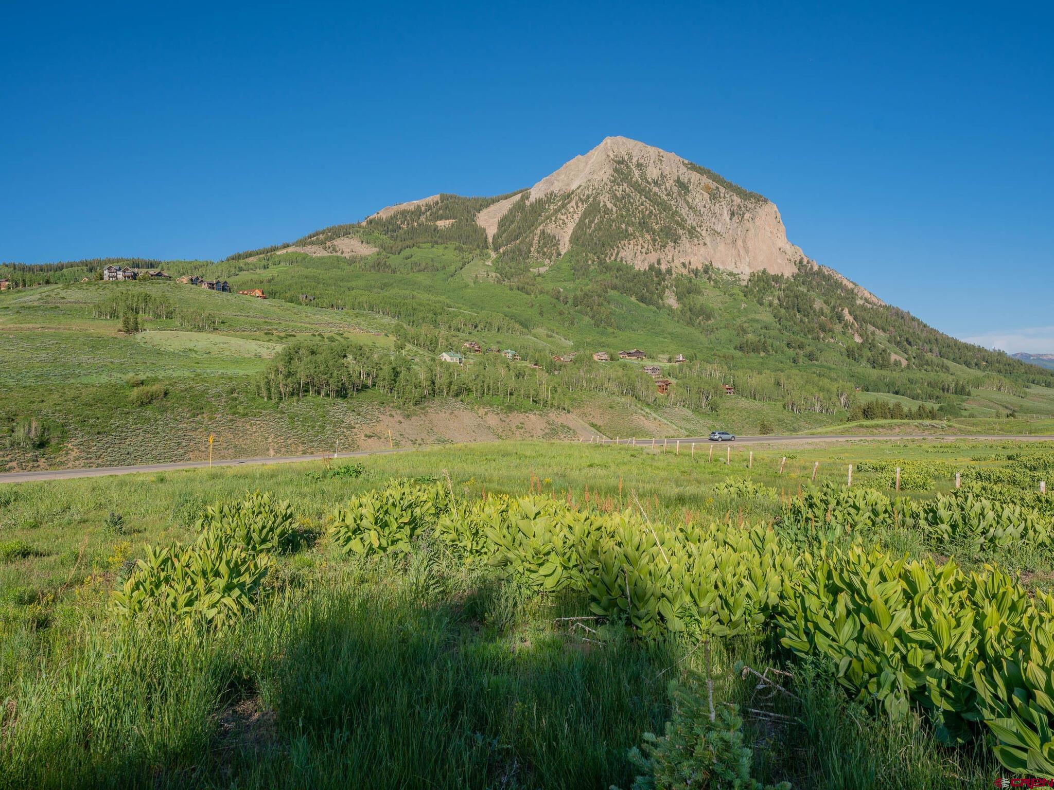 TBD County Road 317, Crested Butte, CO 81224 Listing Photo  16