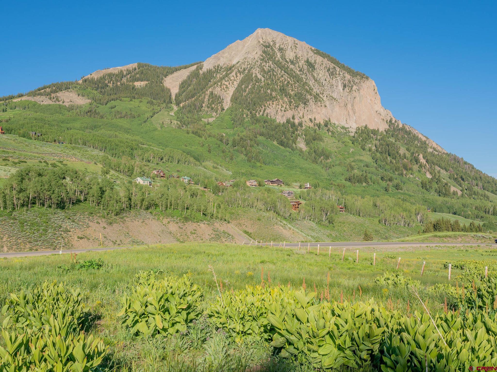 TBD County Road 317, Crested Butte, CO 81224 Listing Photo  17