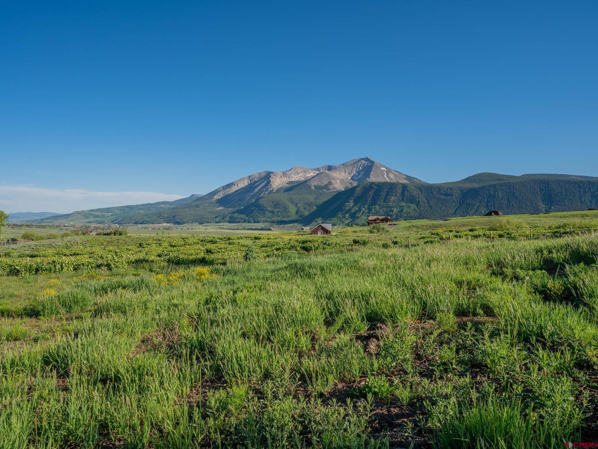 TBD County Road 317, Crested Butte, CO 81224 Listing Photo  18