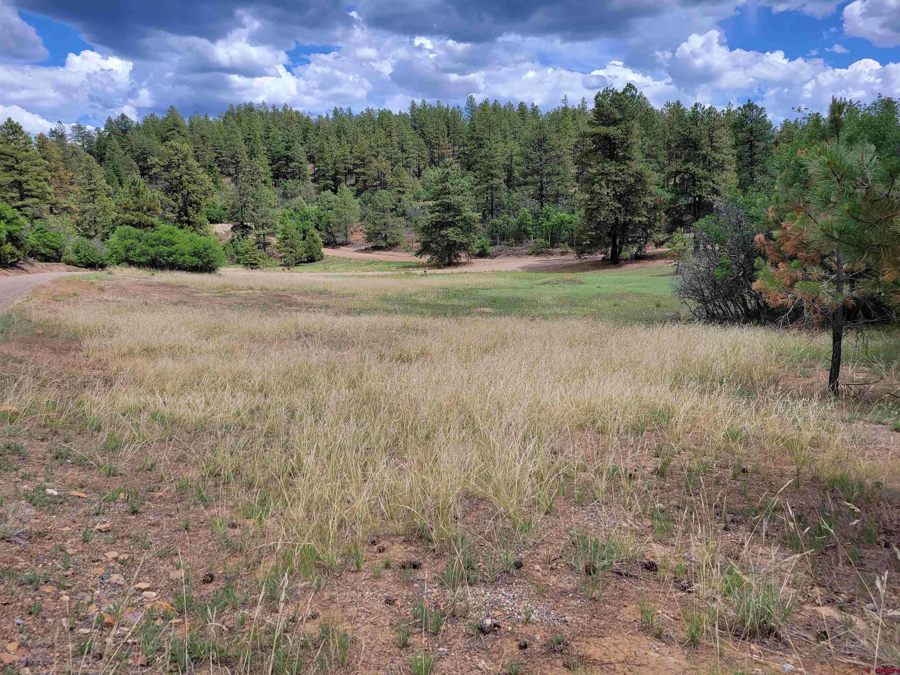 138 Crooked Road, Pagosa Springs, CO 81147