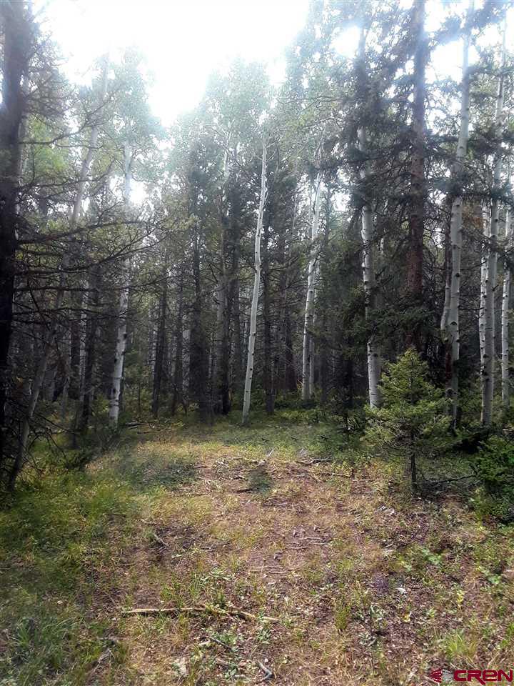 Arrowhead Mountain Homes for Sale, Arrowhead Mountain Lots for Sale