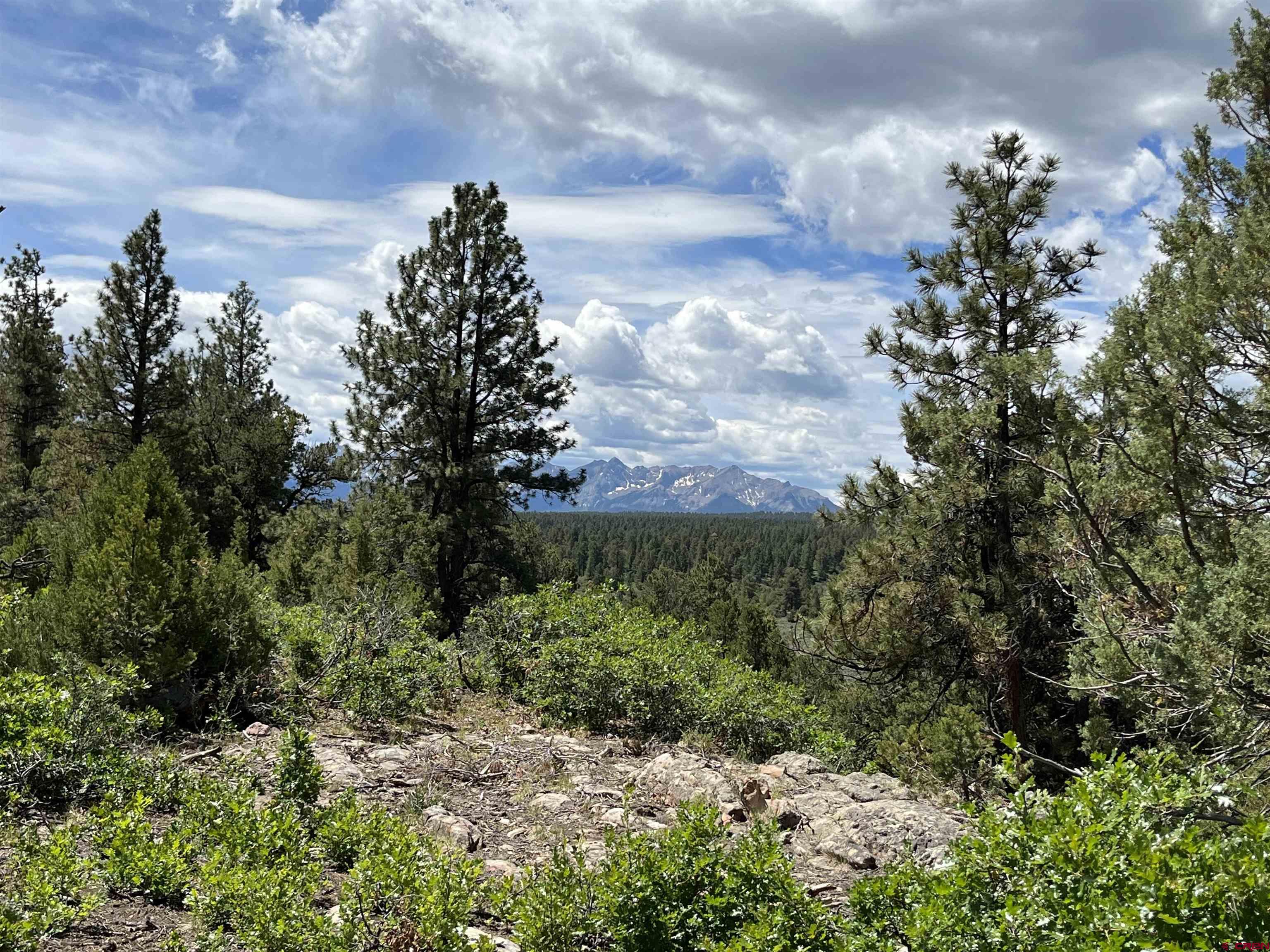 Photo of Wild Poppy And Wisteria Dr in Ridgway, CO