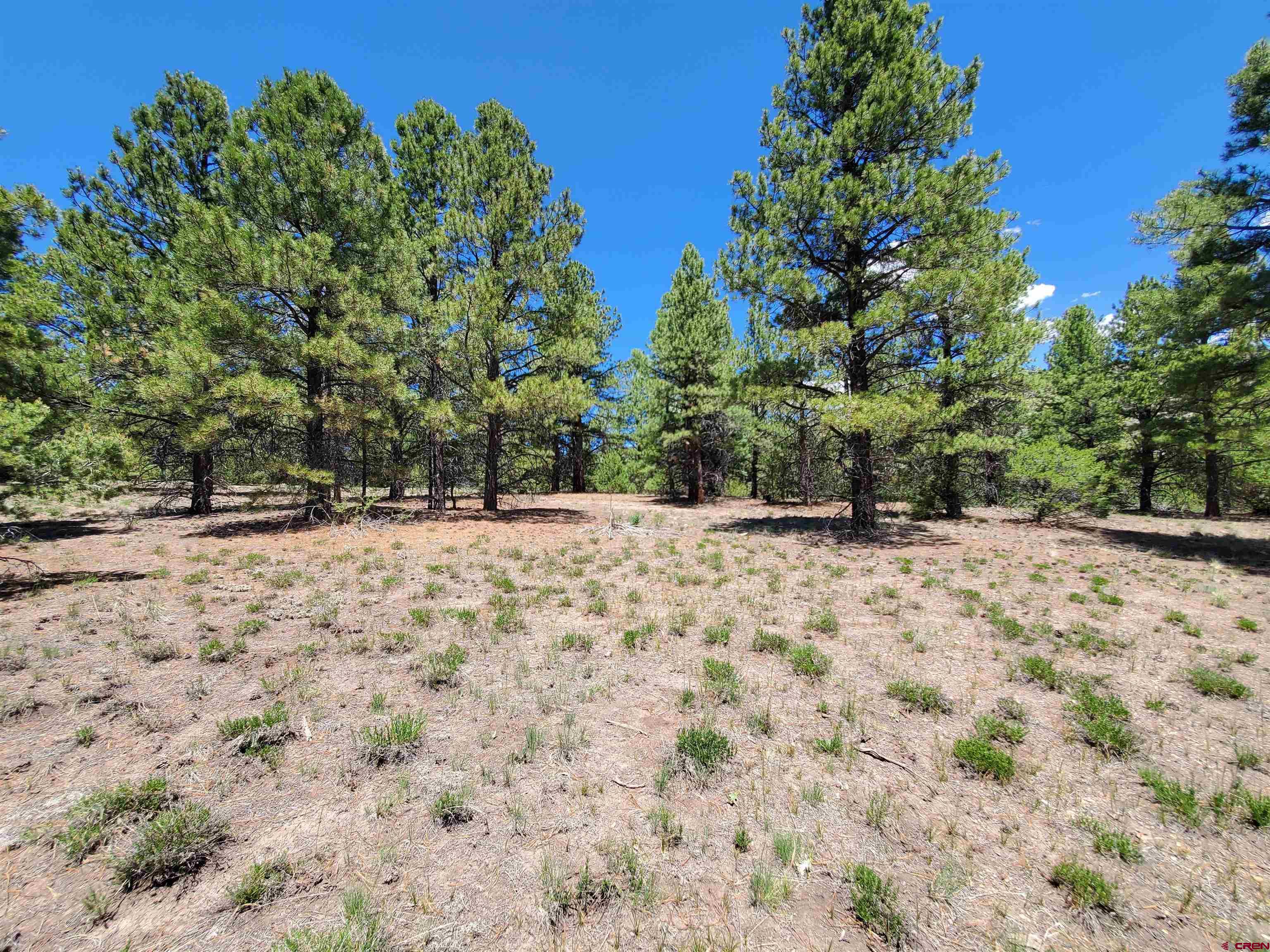 Photo of Lot 6 N Rito Hondo Ct in Antonito, CO