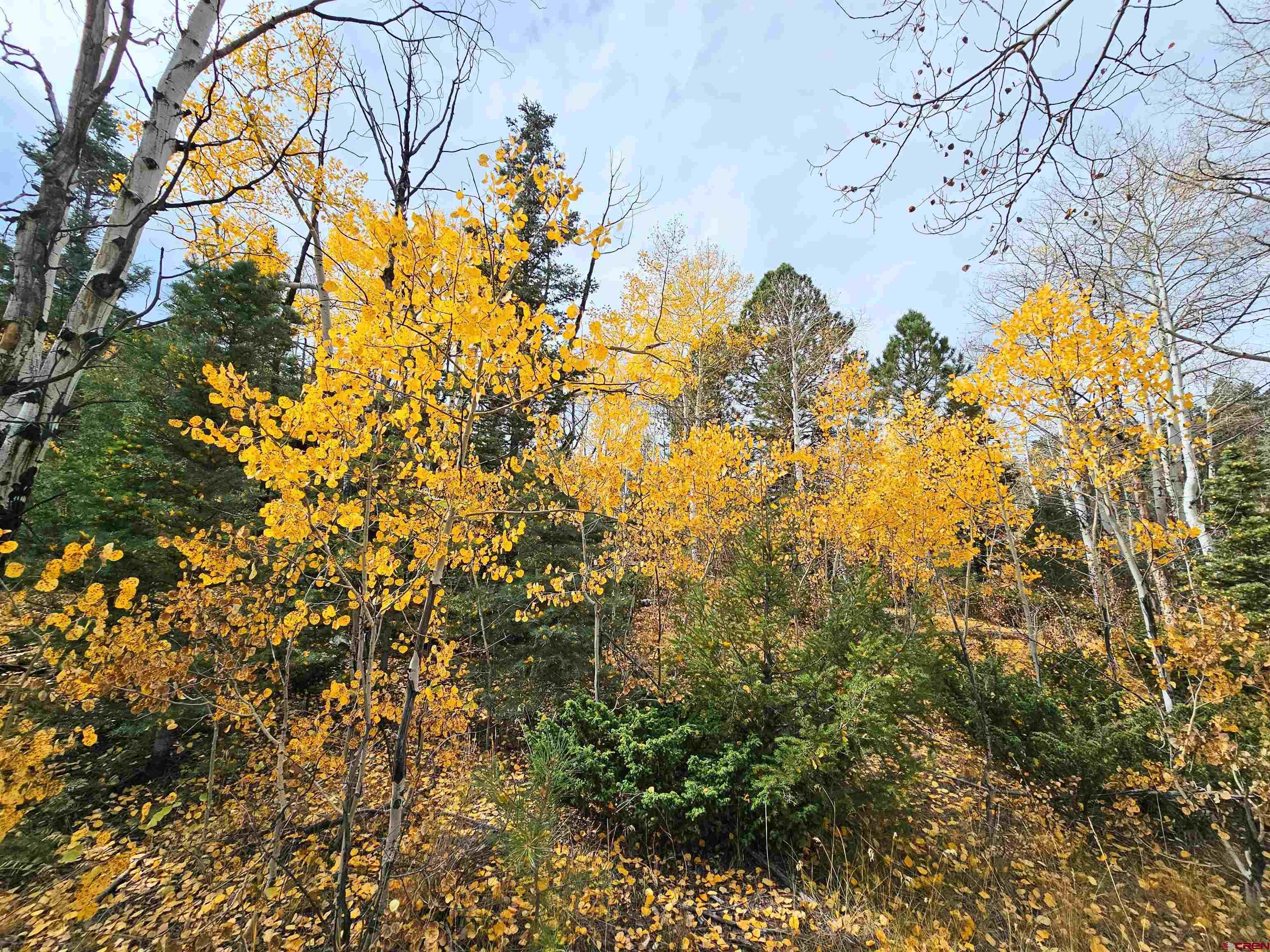 Photo of Lot 13B S Rito Hondo Ct in Antonito, CO