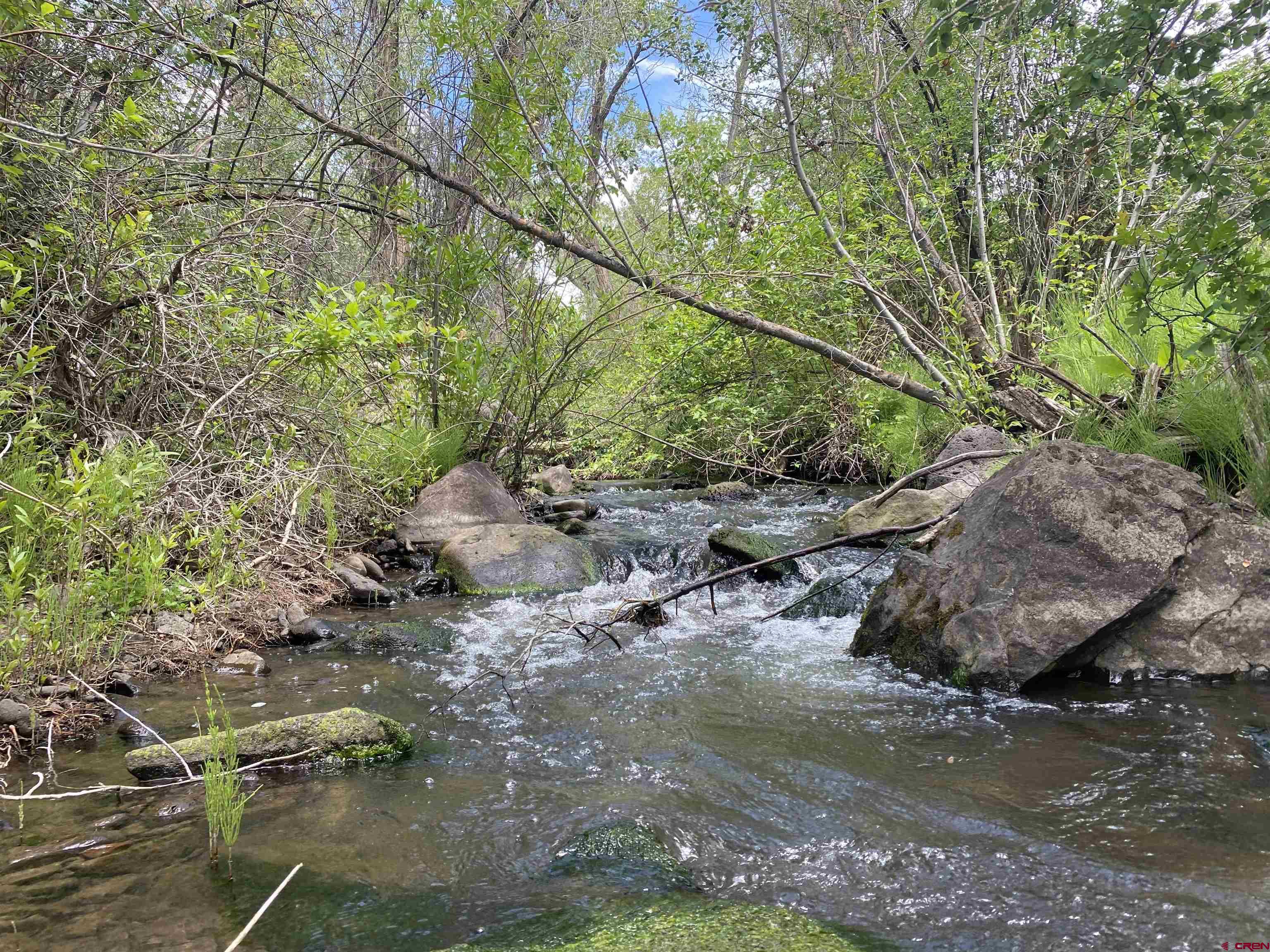 Rare creekside building lot North of Cedaredge and minutes away from The Grand Mesa National Forest and its 200 lakes and endless trails! Year round live water along the entire Western border of the property moves at a perfect rate you can hear the bubbling of the water as it flows by from about anywhere on the property. Not only do you have the atmosphere of the creek but also outstanding views of the Mountains and valley that layout as far as your eye can see. No covenants or building restrictions but the Seller does have plans for a 4200 sq. ft. walkout basement designed around the creek and its canopy of trees creating a very private and lush setting. The lot is mostly treed and is full of wildflowers! Already paid for and installed domestic water tap along with the site being cleared with driveway to it. Utilities are a short distance away at the road. Easy paved access. Ready to build!