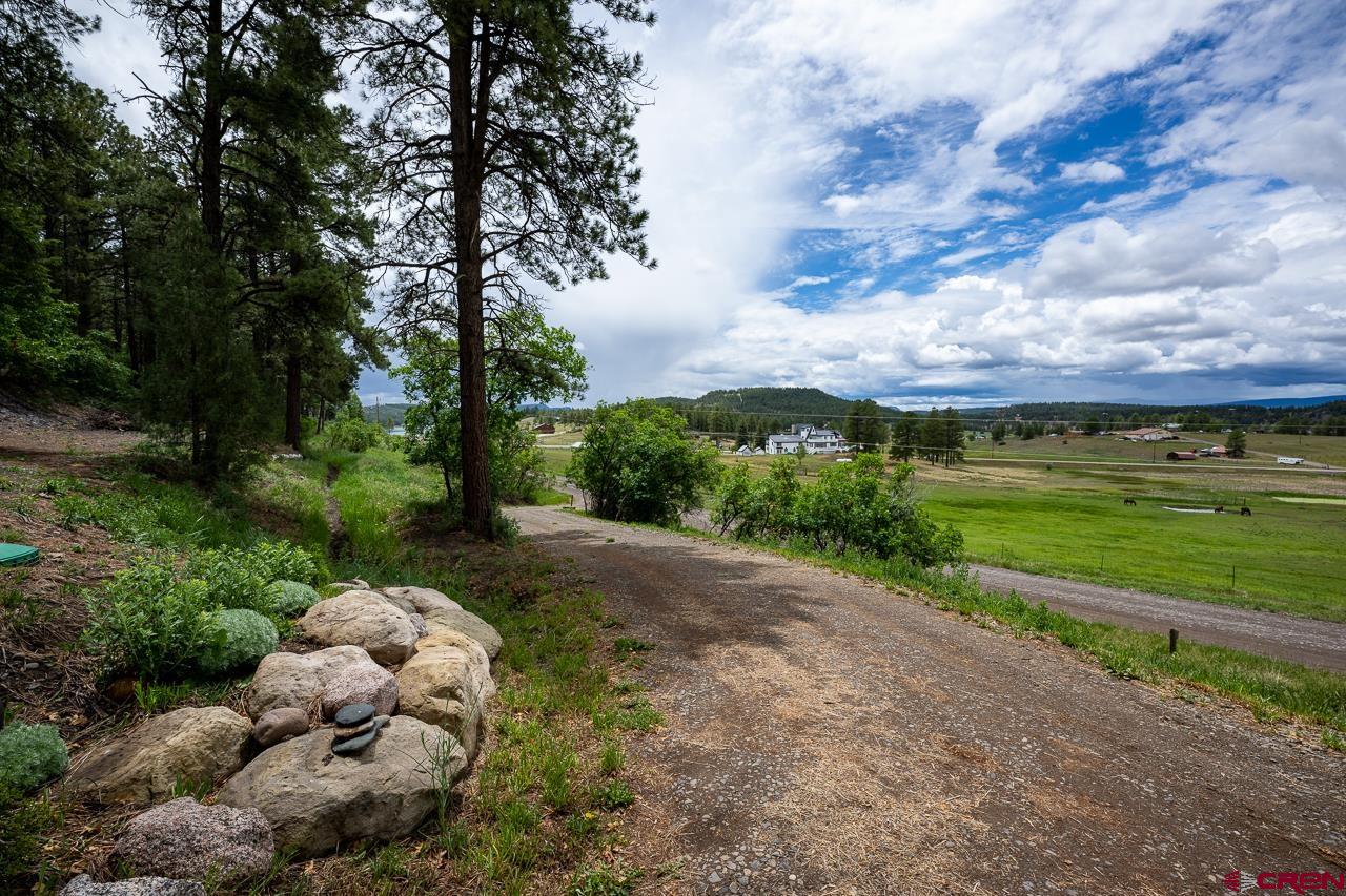 201 Pineview Road, Pagosa Springs, CO 81147 Listing Photo  3