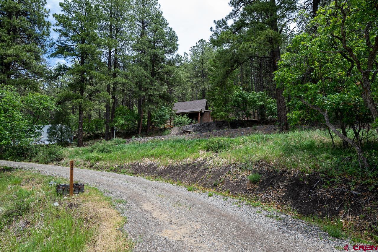 201 Pineview Road, Pagosa Springs, CO 81147 Listing Photo  35