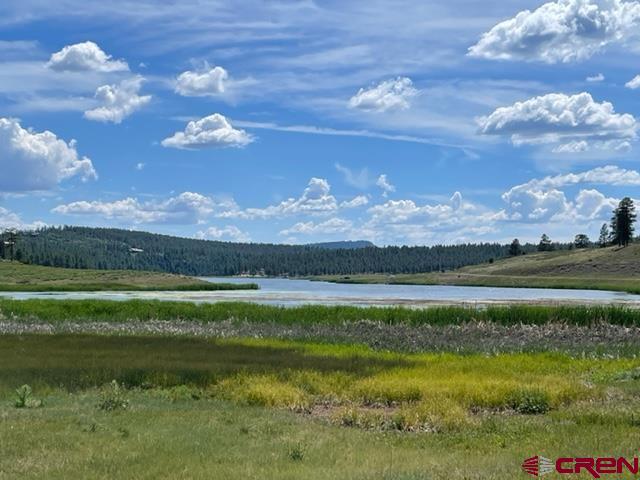 201 Pineview Road, Pagosa Springs, CO 81147 Listing Photo  5