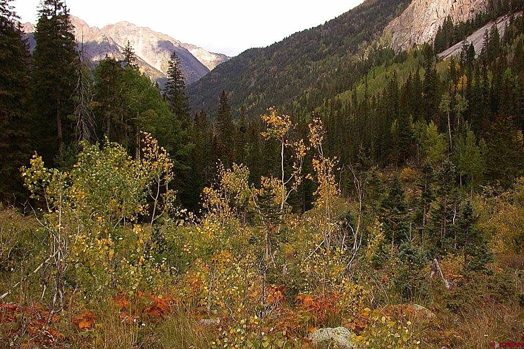 TBD Needle Creek Trail, Durango, CO 81301