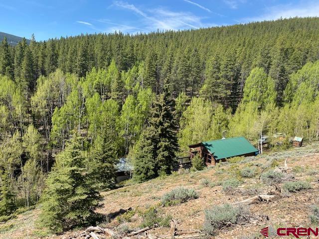 14325 County Road 76, Pitkin, CO 81241