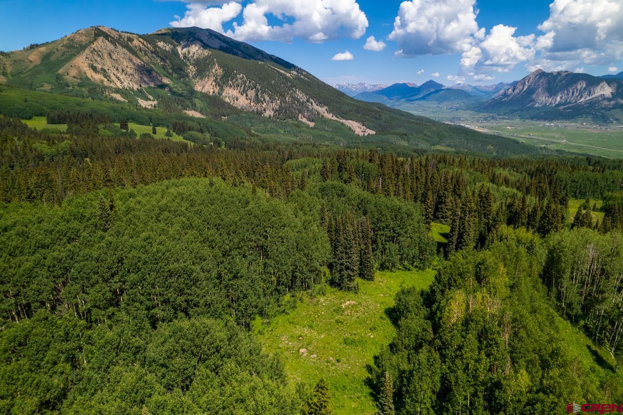 1250 Red Mountain Ranch Upper Loop, Crested Butte, CO 