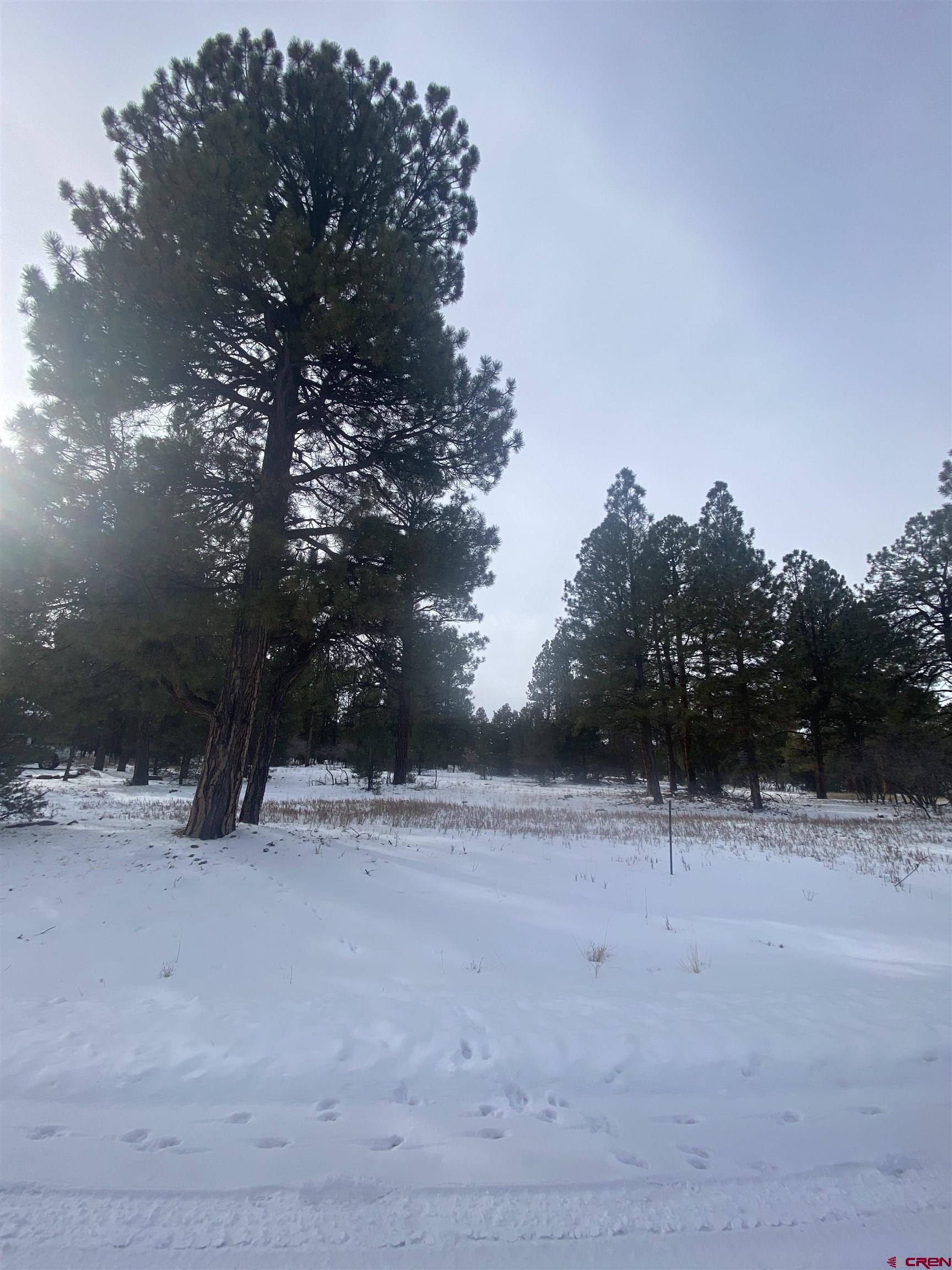 Lovely lot in Divide Ranch and Club. This lot is more towards the exterior portion of the subdivision so you don't have to worry about stray golf balls from the fairway and still enjoy all the amenities of this great golf community. And this location is close to the club house too.  Build your home among the pretty Ponderosa Pine trees which offer shade and relief from the hot summer sun.  Relax on your deck or patio while you enjoy watching the deer that wander through.  Level lot just waiting for your dream home!  Private and peaceful yet just 10 minutes to the Town of Ridgway, 30 minutes to Montrose with the recently improved Regional Airport and 45 minutes to world class skiing in Telluride. Come realize your dream of owning property and building a home in Southwestern Colorado!