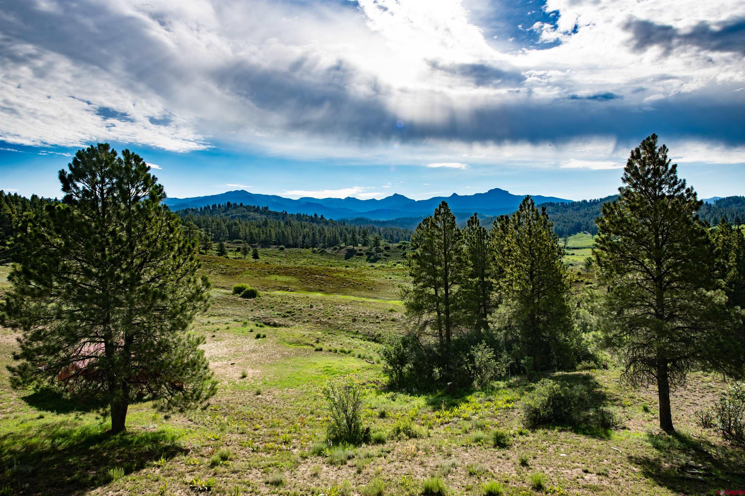 1201 County Road 302, Pagosa Springs, CO 81147 Listing Photo  11