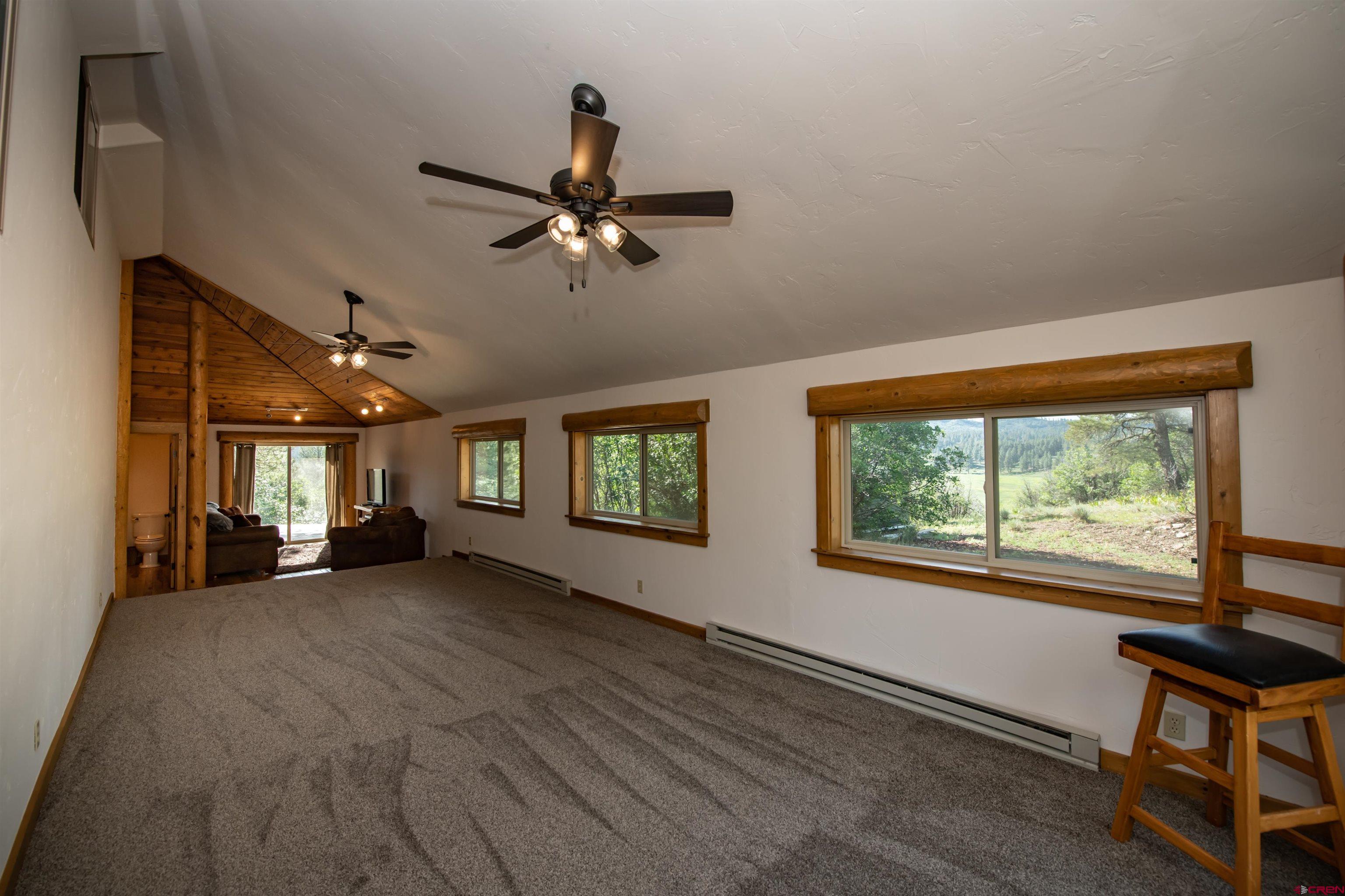1201 County Road 302, Pagosa Springs, CO 81147 Listing Photo  23