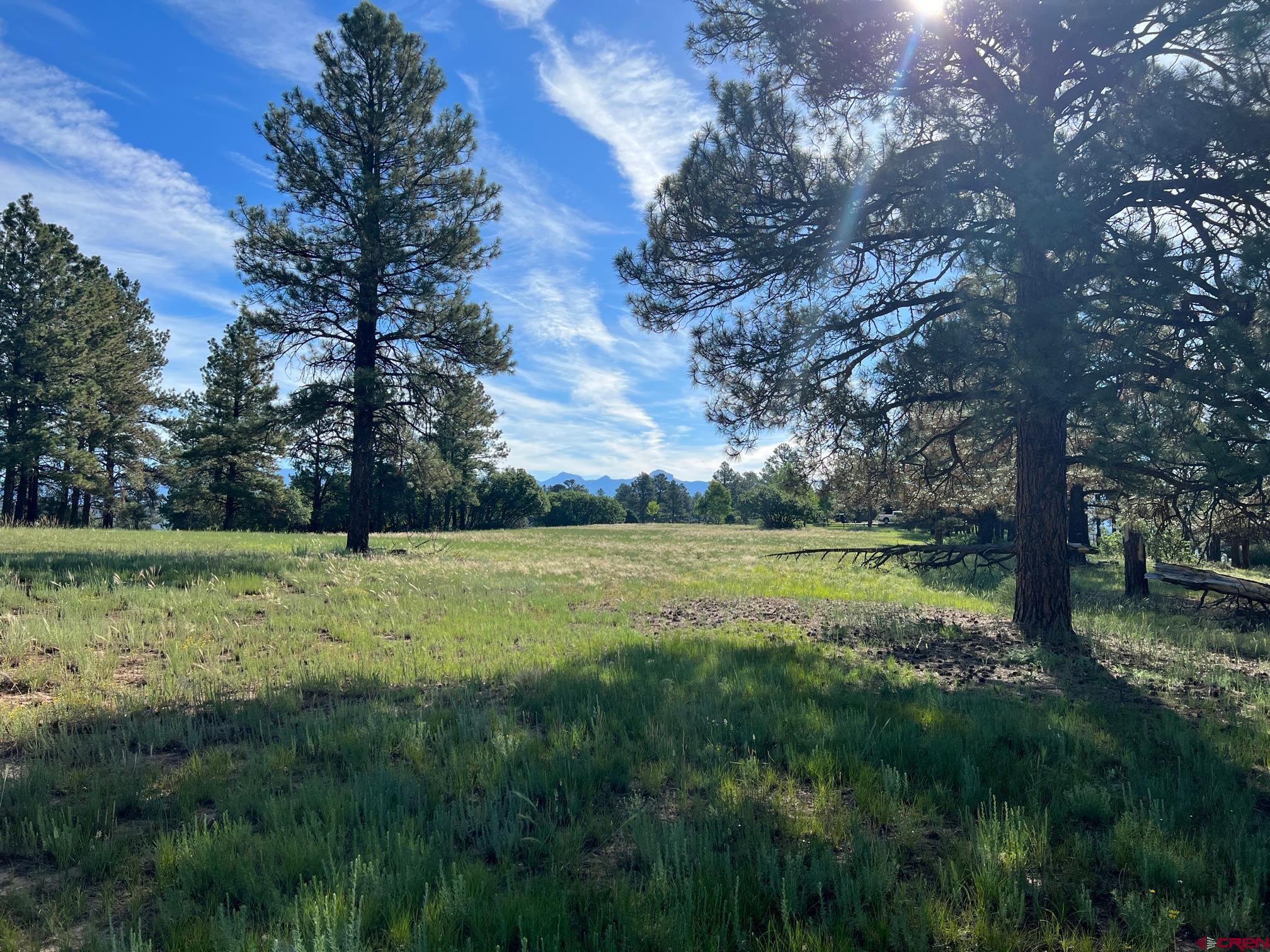 1206 Echo Canyon Ranch Pagosa Springs CO 81147 Sold