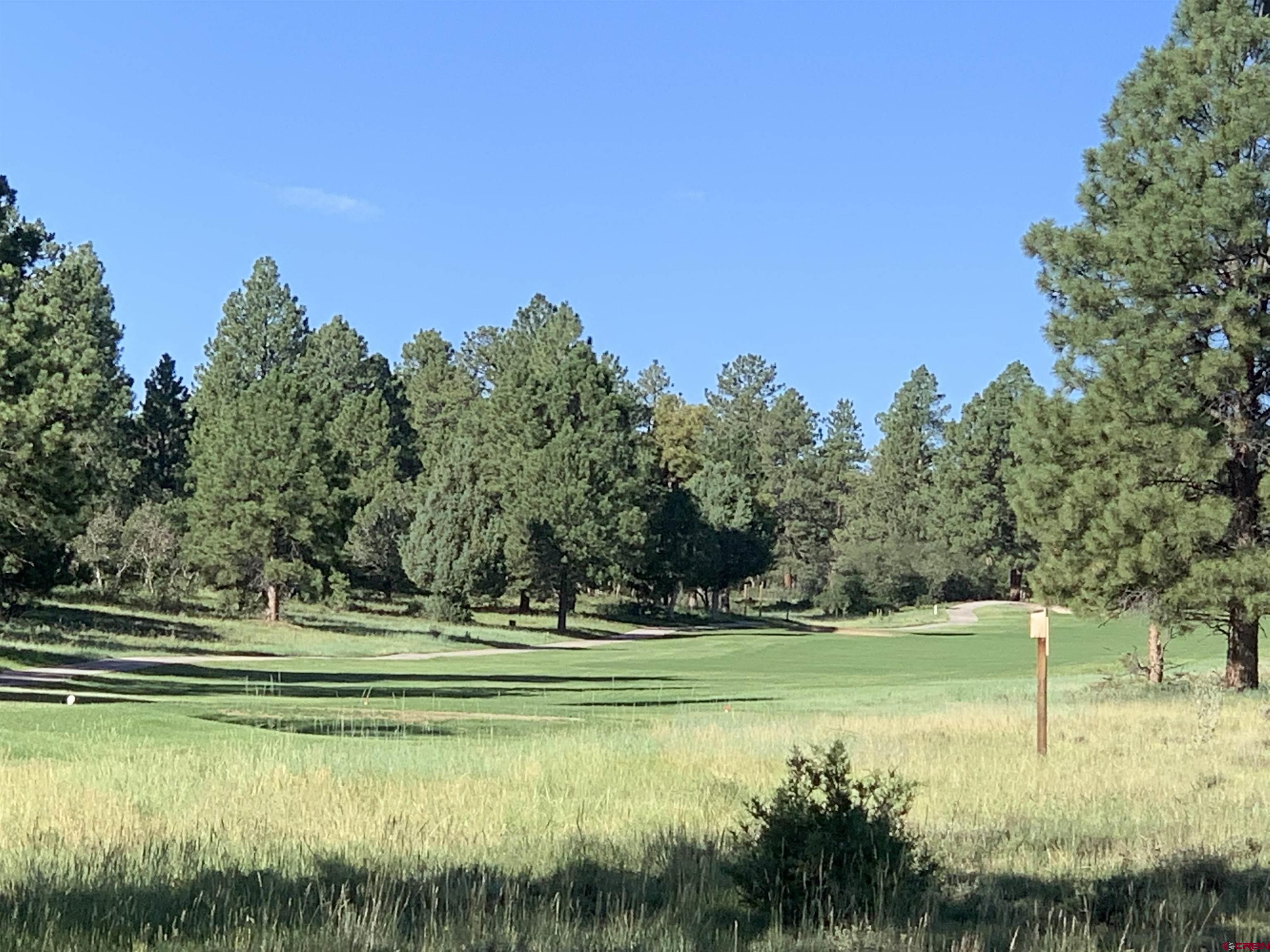 Located in the coveted Divide ranch golf club development on a quiet cul-de-sac location with easy access to CR 1 is this beautifully treed private lot with views of the 17 fairway. Ready to build with utilities to the lot line. The soils testing and septic design are complete and the reports are included. A $4000 savings. Enjoy golfing, biking, walking, x-country skiing and snowshoeing out your front door. Downtown Ridgway is 15 minutes away, world class skiing in Telluride is 45 minutes away, Ouray and the hot springs and jeeping trails are 30 minutes away, Montrose and its shopping and Regional airport is 30 minutes away. Divide Ranch & Club is a hidden gem nestled in the San Juan’s. There is also a divide ranch golf membership included with a transfer fee of $3000 to be paid by the buyer.