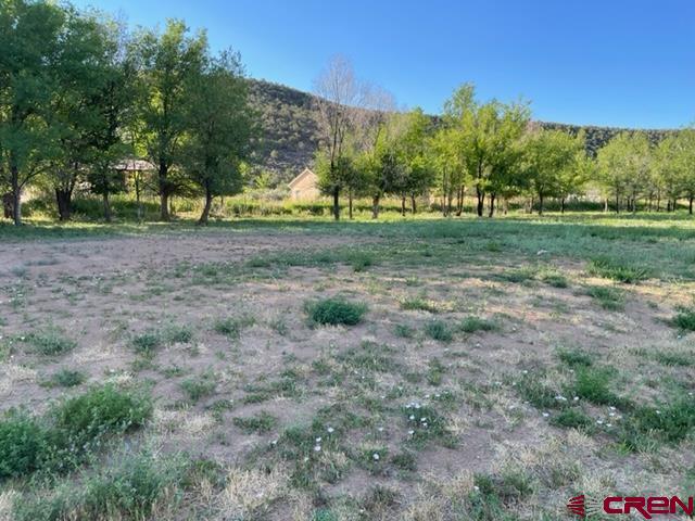 Great building lot in Deer Creek Village, a beautiful golf course community. Walking trails through the neighborhood along surface creek. Wildlife and mountain views make this a great place to live! Close to all the amenities of Cedaredge and the Grand Mesa Byway where the outdoor opportunities are endless. Utilities are to this lot and high speed internet is available. RV/boat storage is available through the HOA.