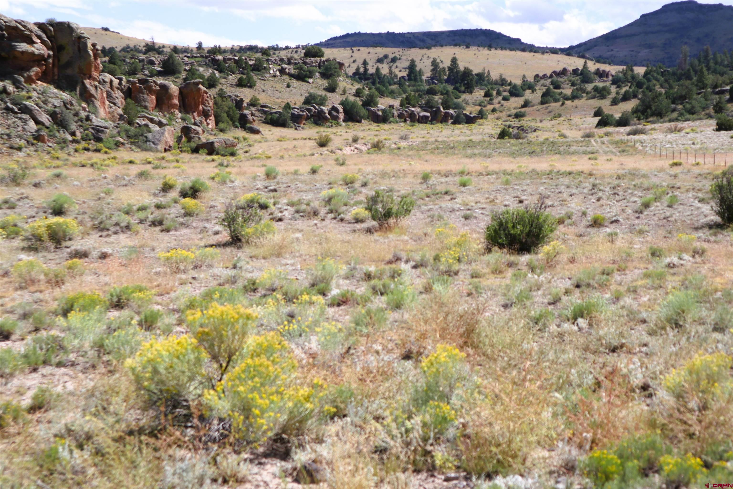 Photo of Tract 35 Jupiter Rd in Del Norte, CO